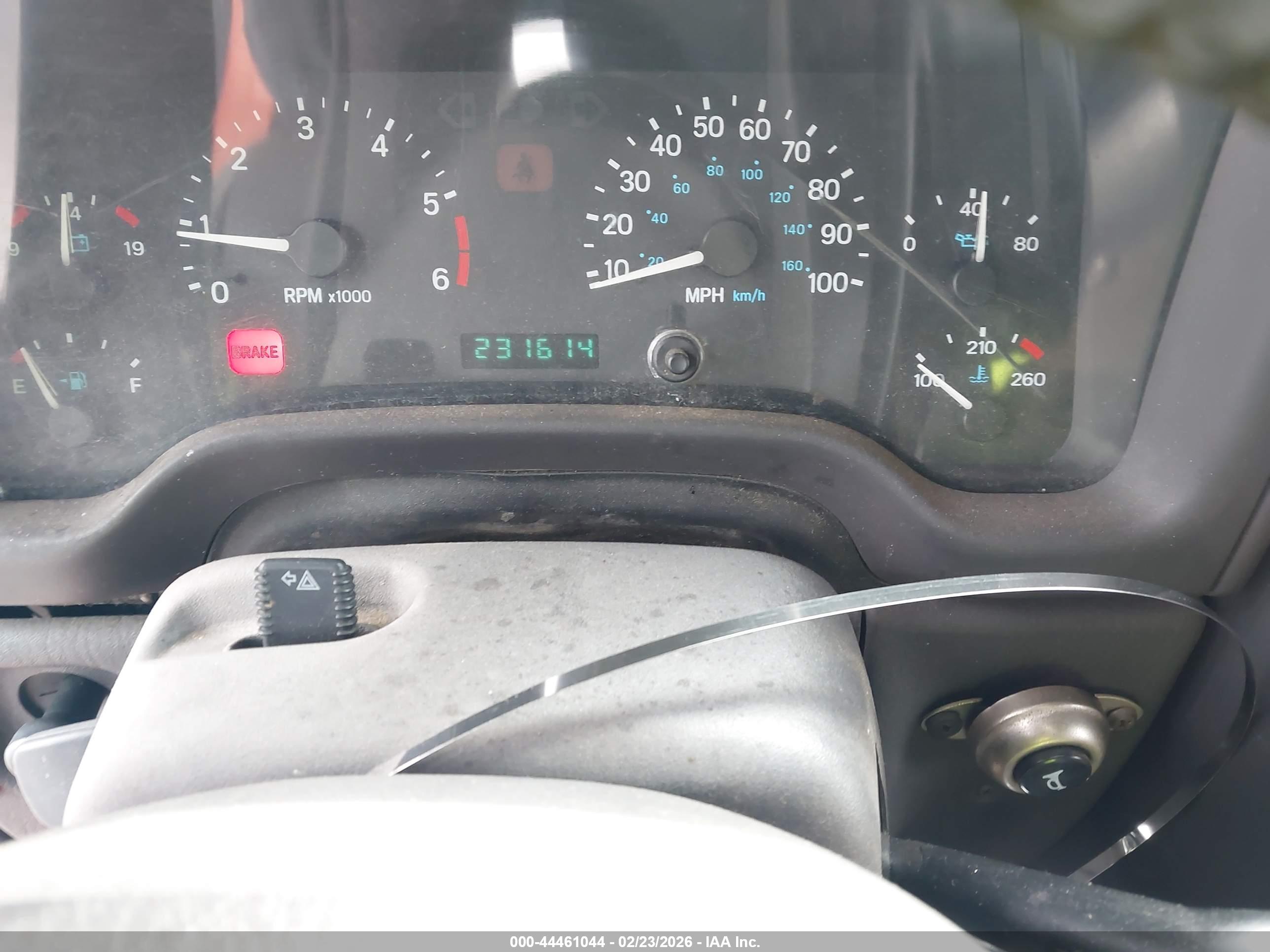 JEEP WRANGLER image 7