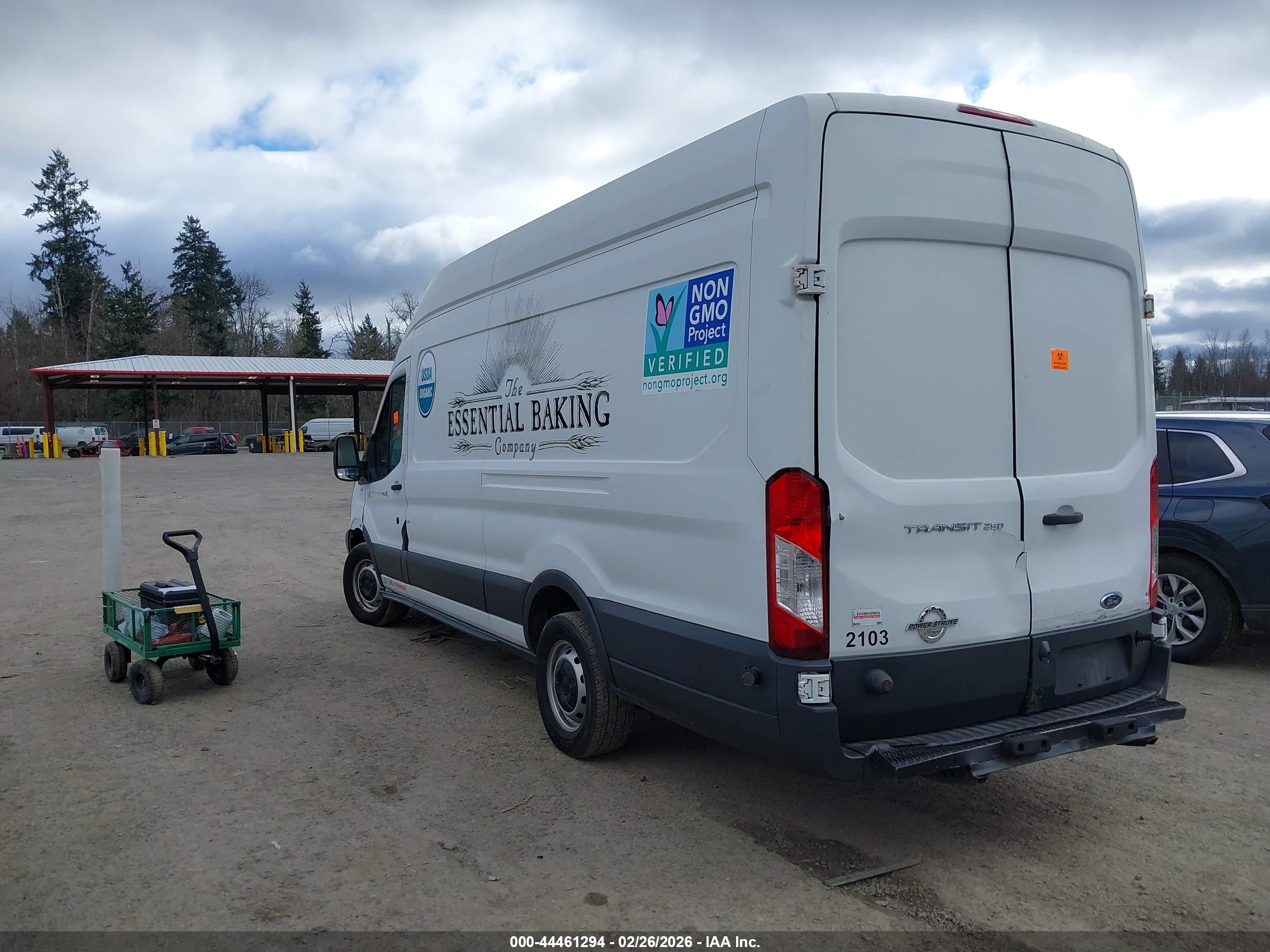 FORD TRANSIT-250 image 3