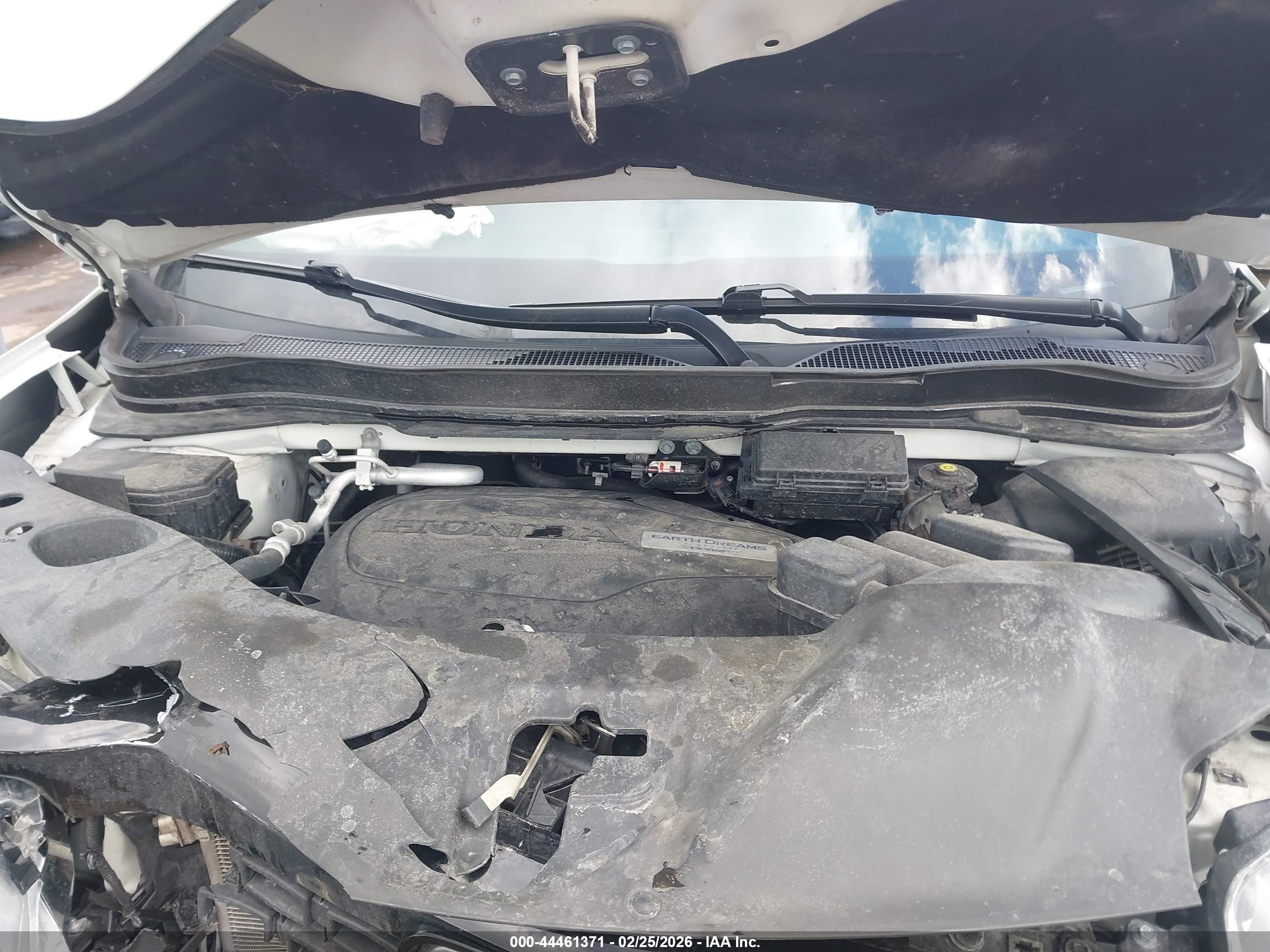 HONDA PASSPORT image 10