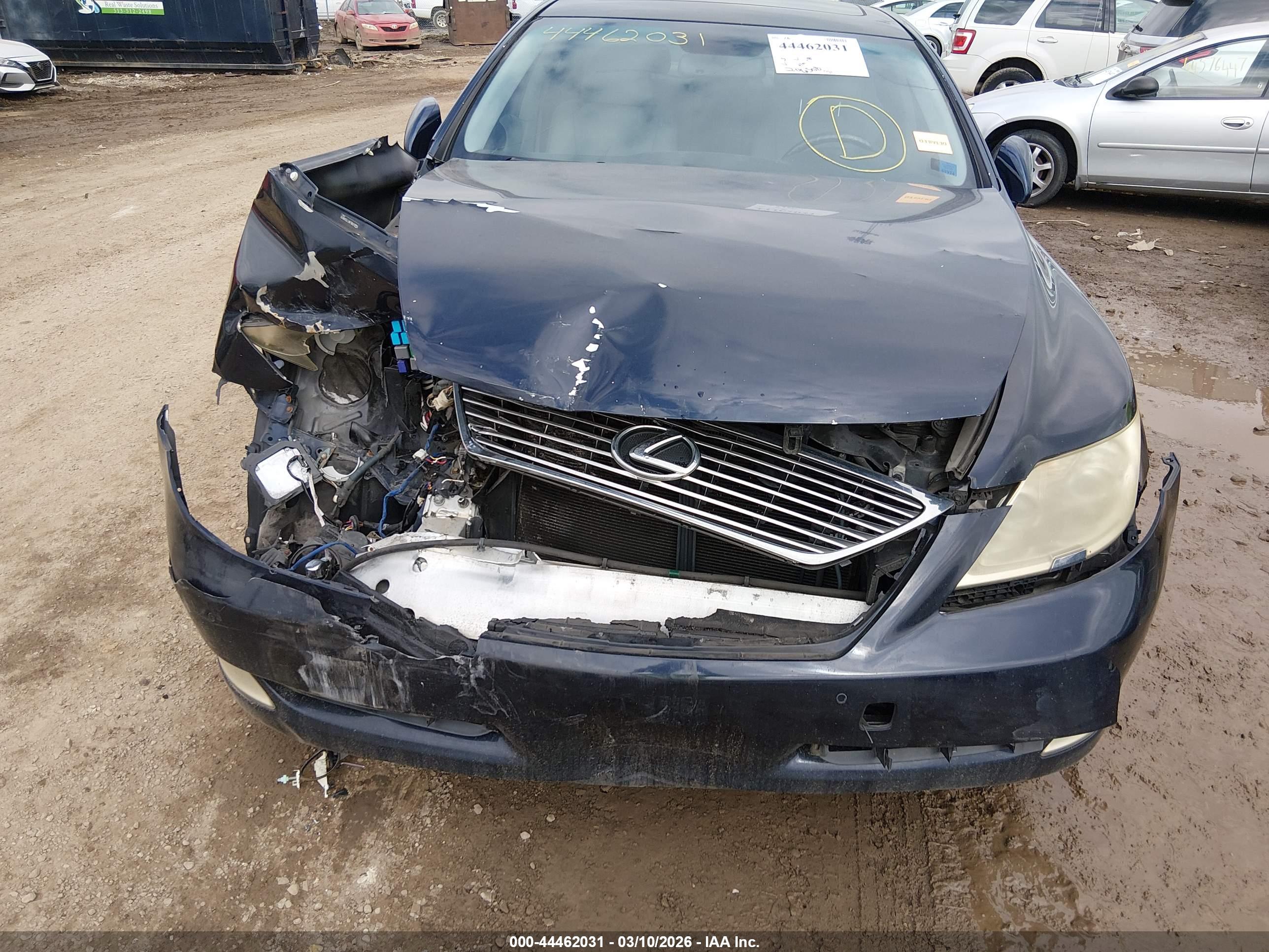 LEXUS LS image 6