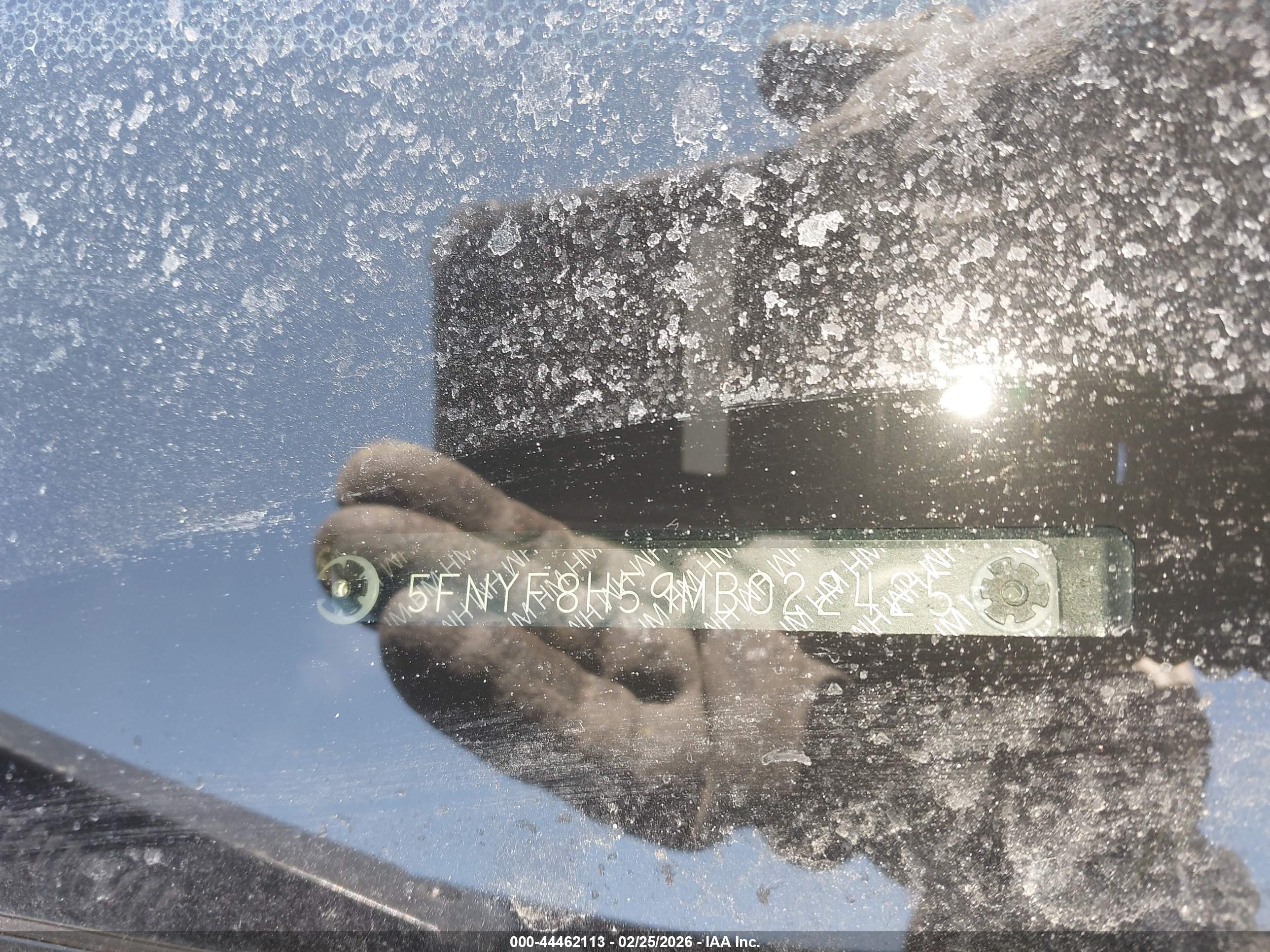 HONDA PASSPORT image 9