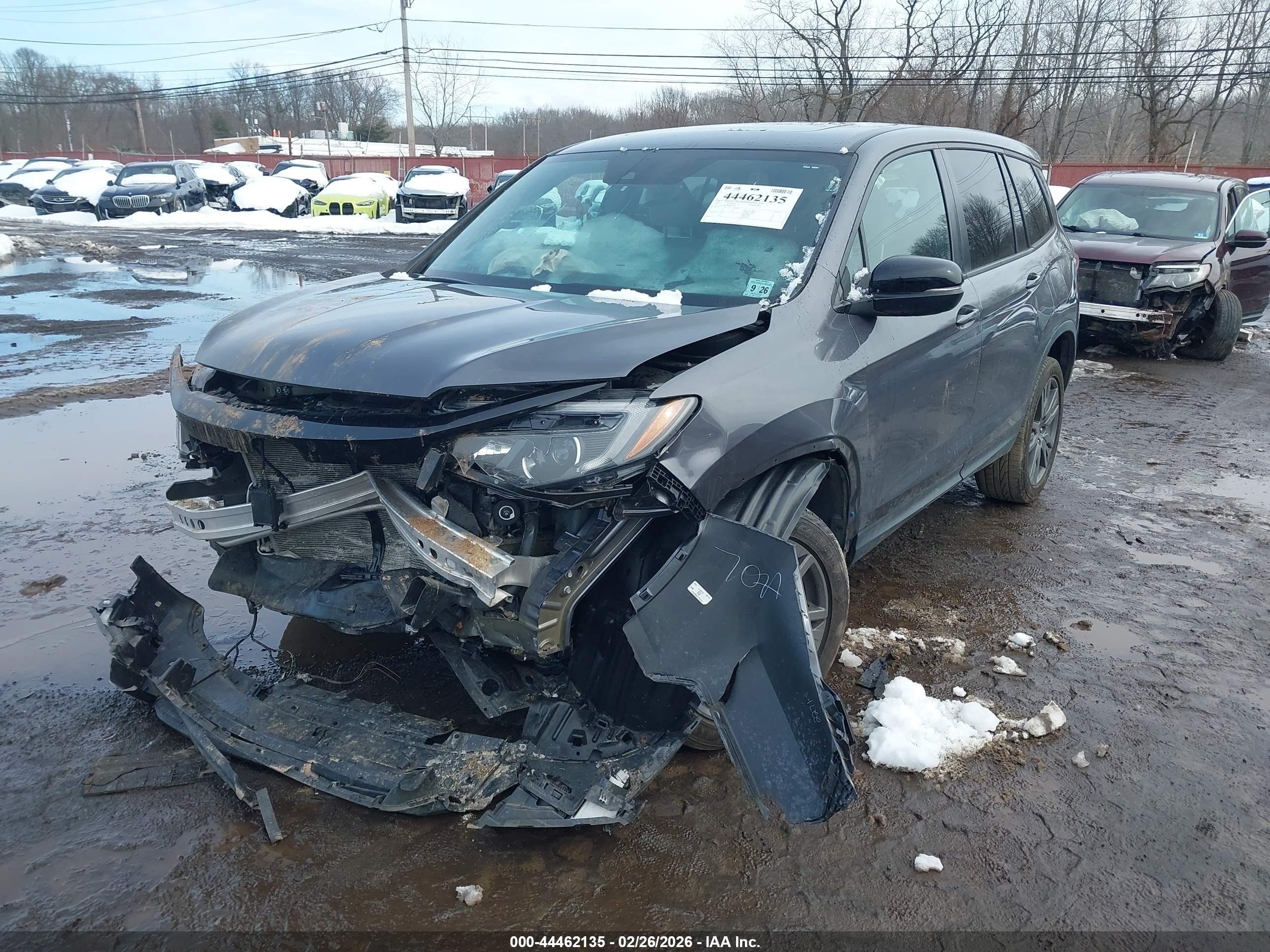 HONDA PASSPORT image 6