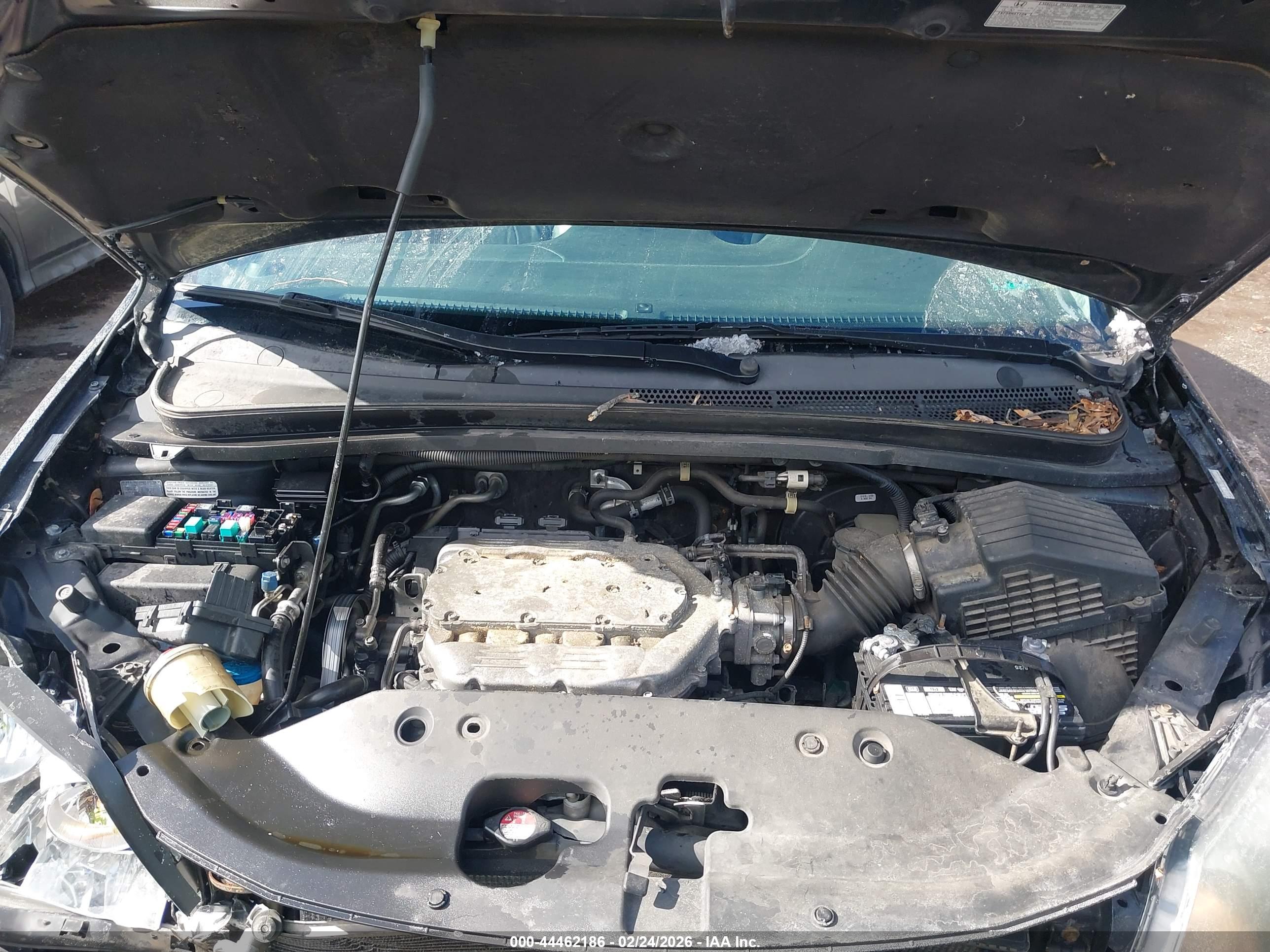 HONDA ODYSSEY image 10