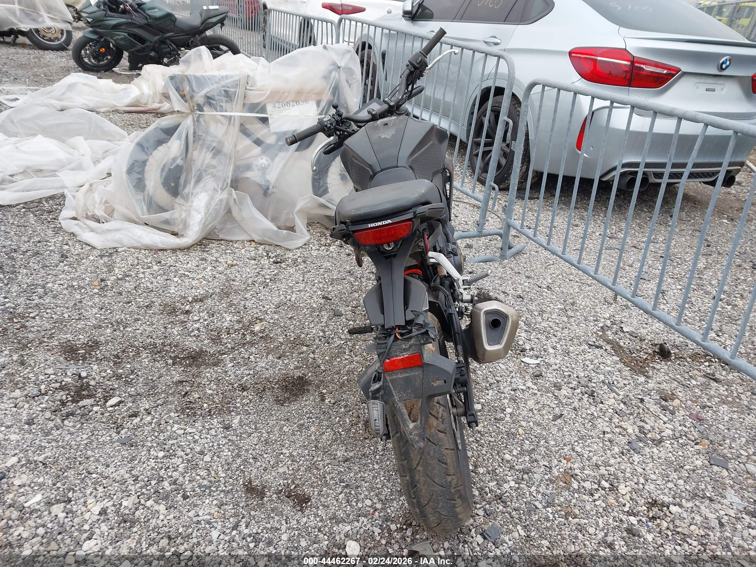 HONDA CBF300 image 6