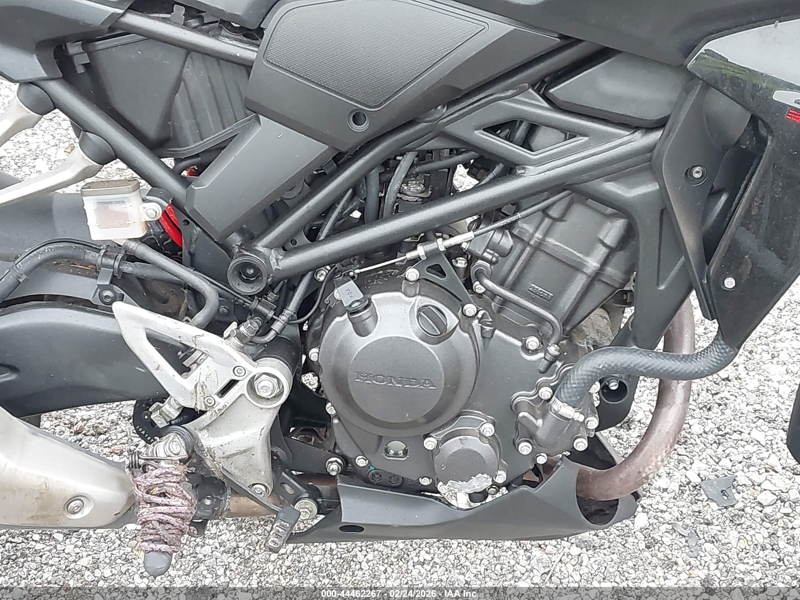 HONDA CBF300 image 8