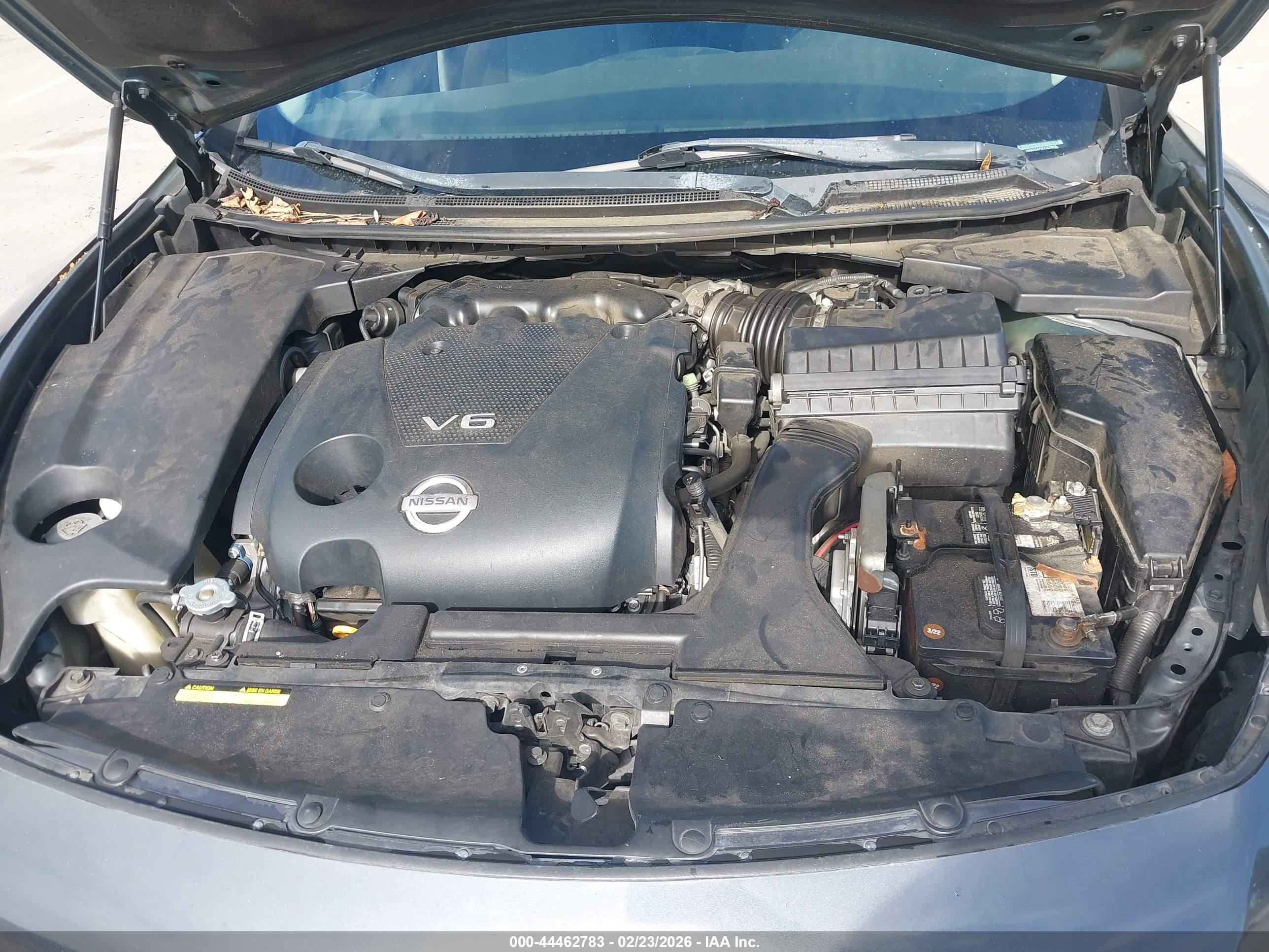 NISSAN MAXIMA image 10