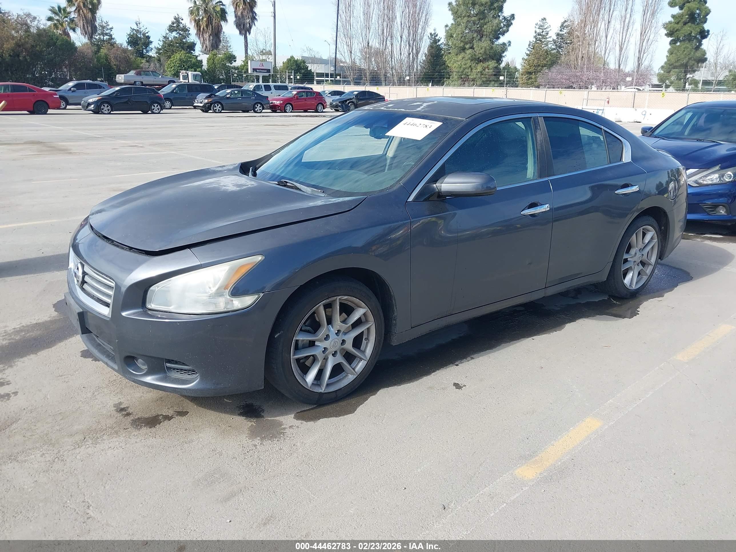 NISSAN MAXIMA image 2