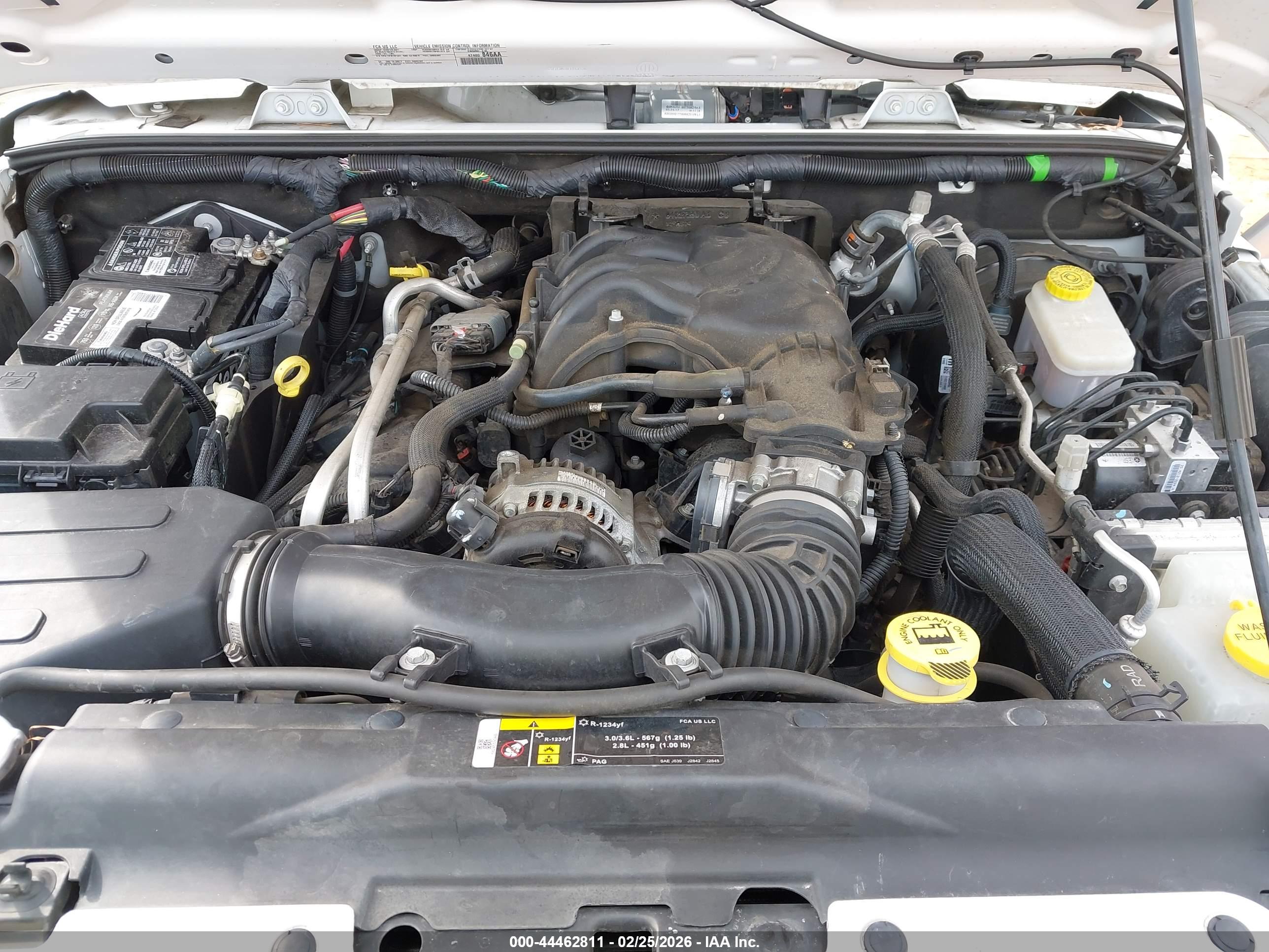 JEEP WRANGLER image 10