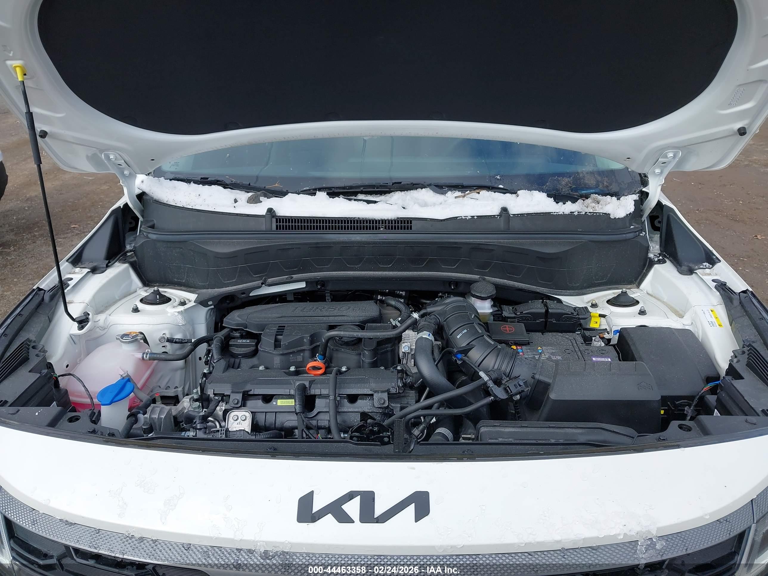 KIA SELTOS image 10