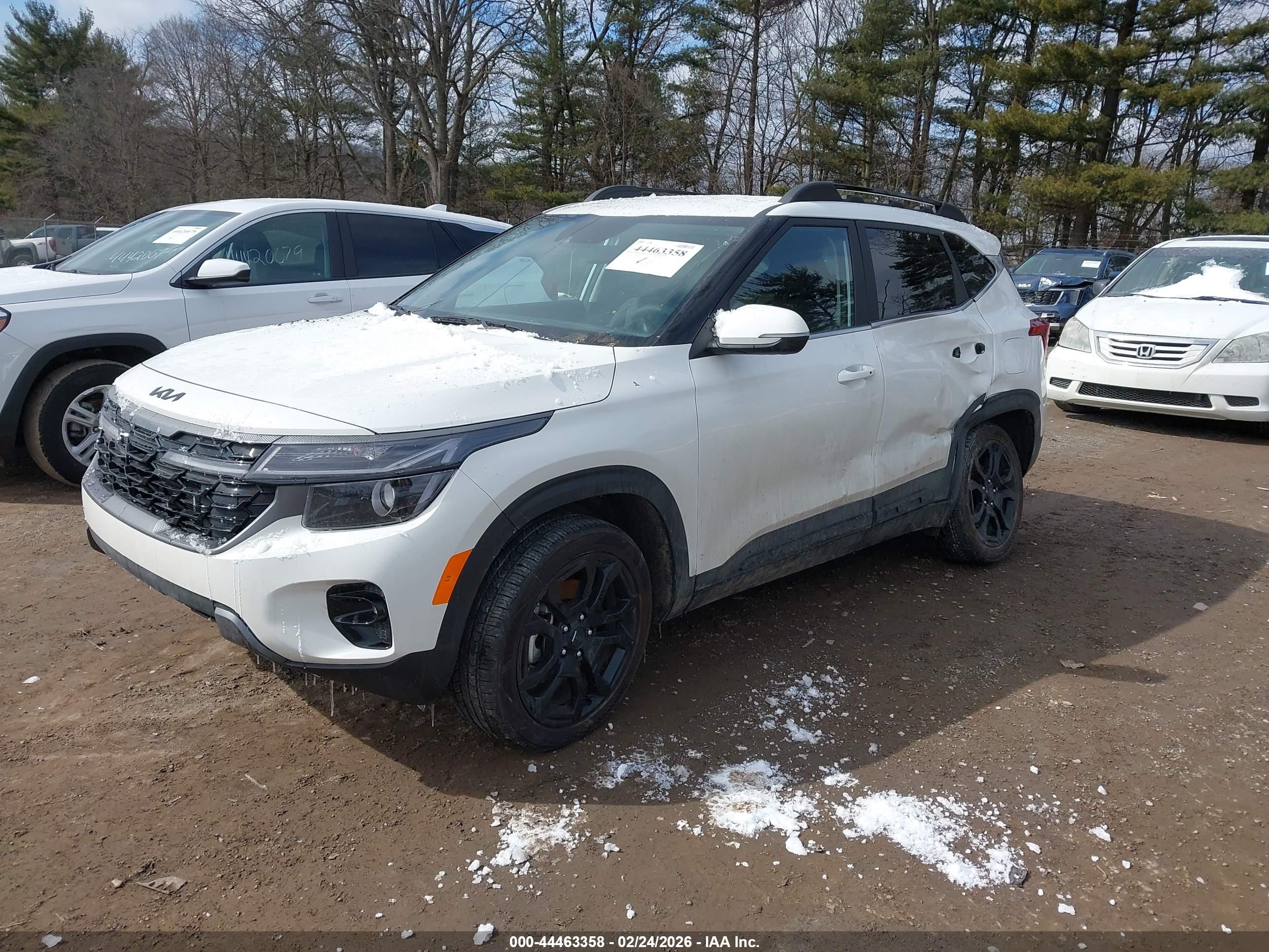KIA SELTOS image 2