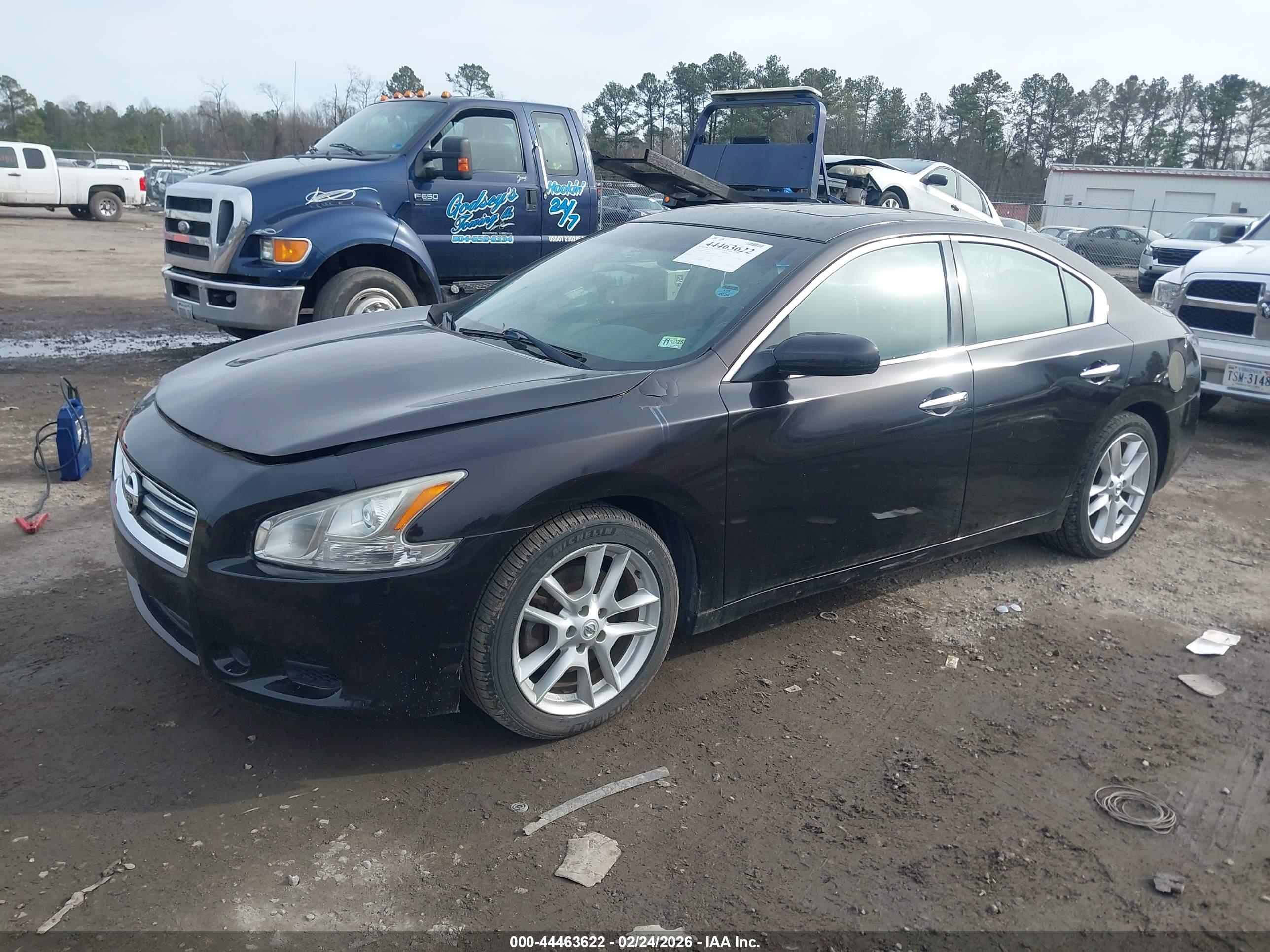 NISSAN MAXIMA image 2
