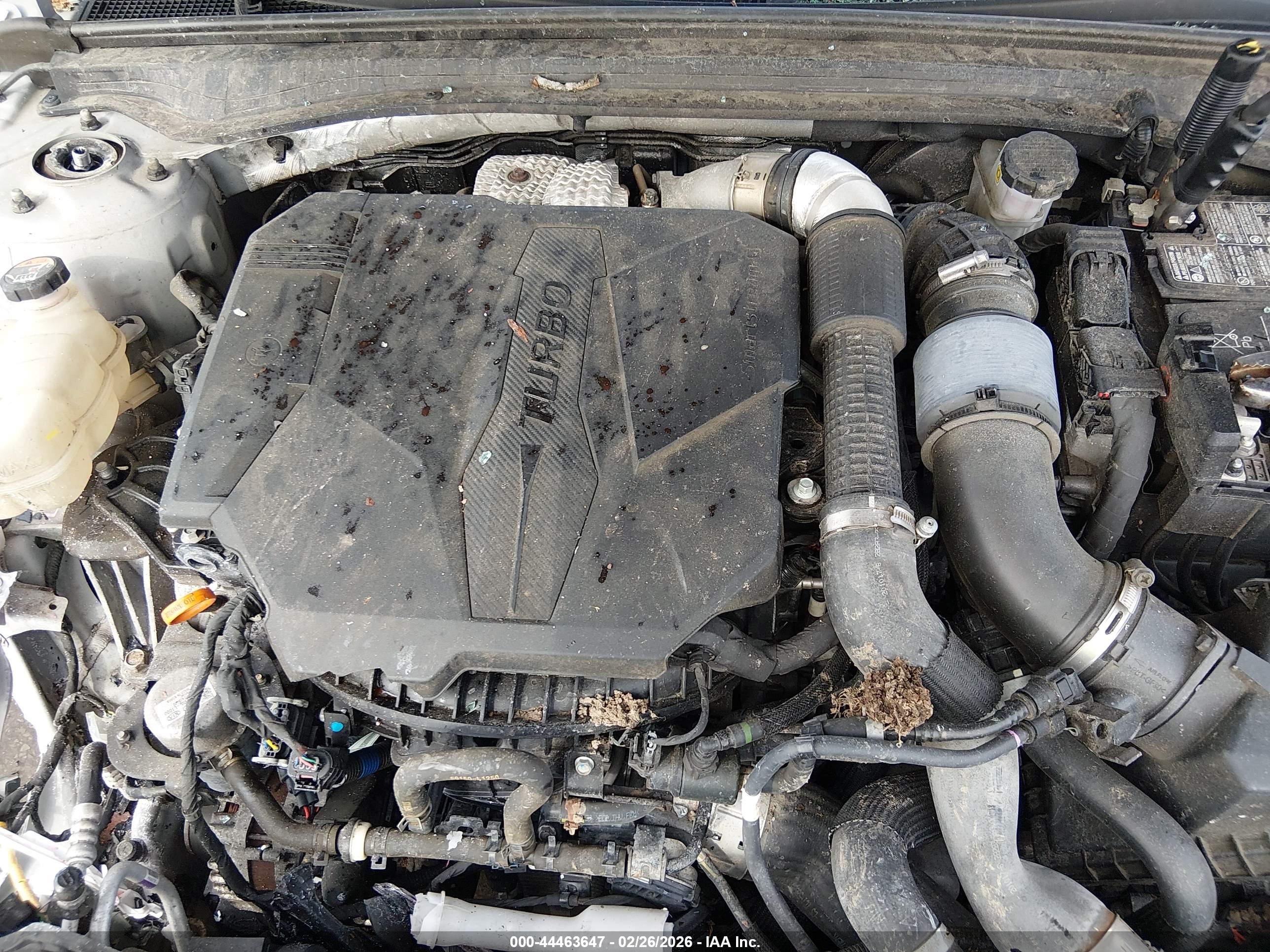 KIA K5 image 10