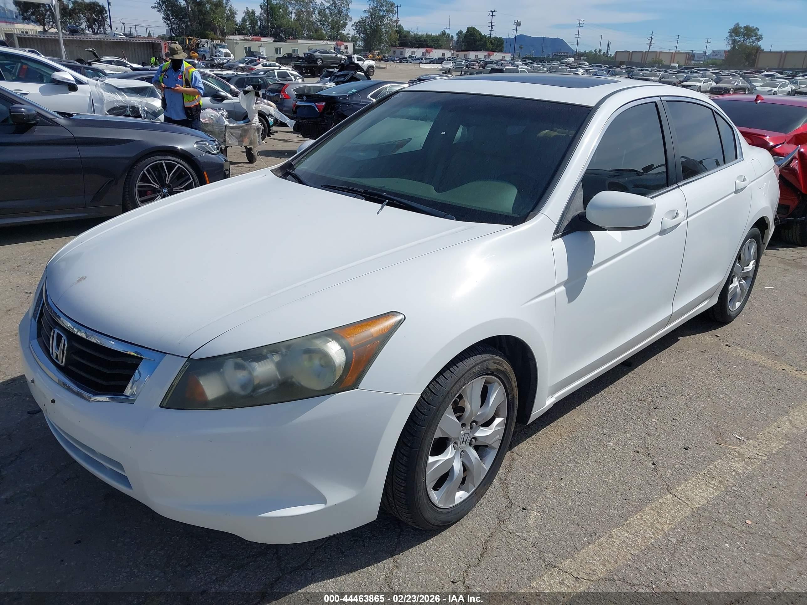 HONDA ACCORD image 2