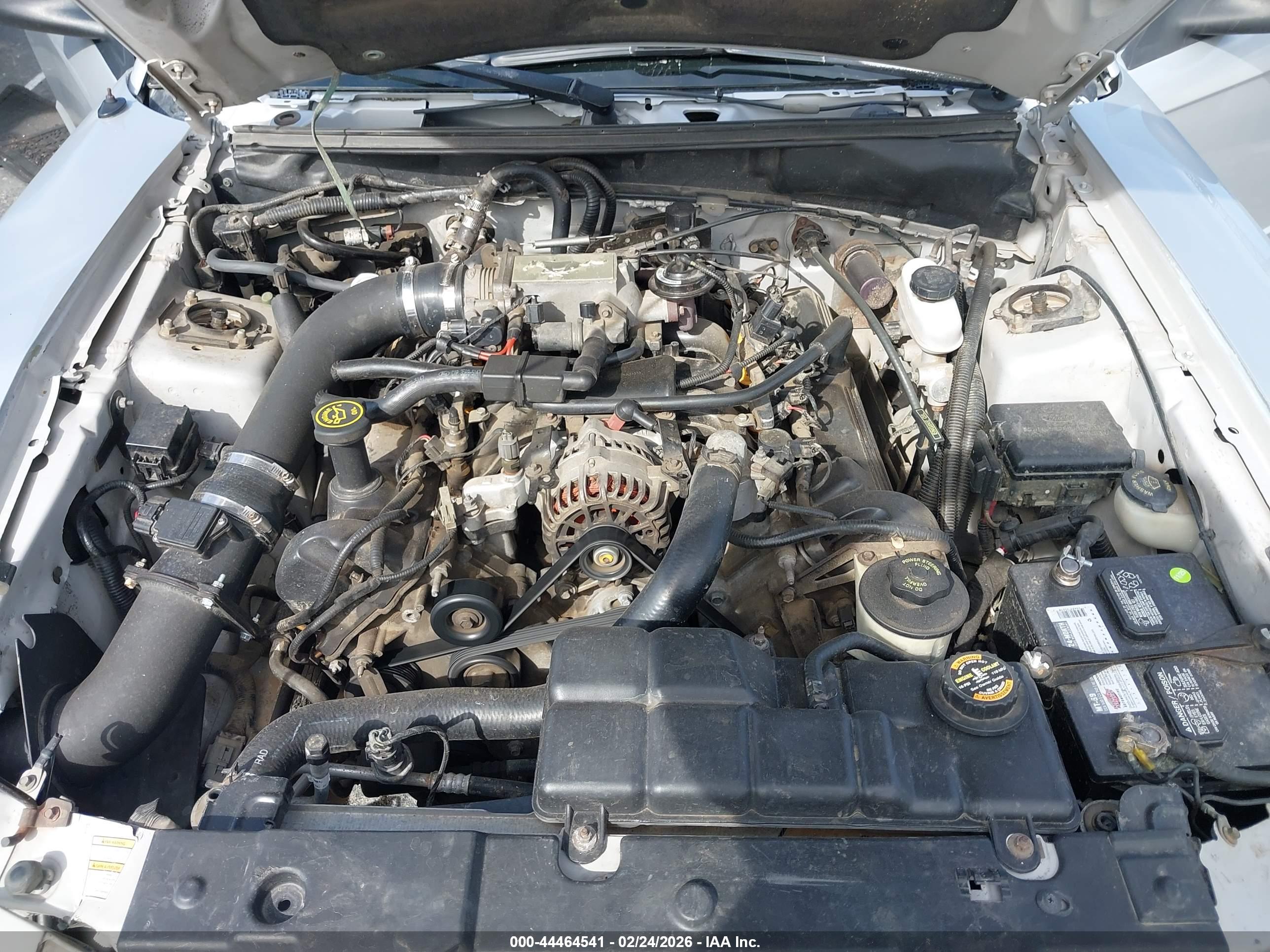 FORD MUSTANG image 10