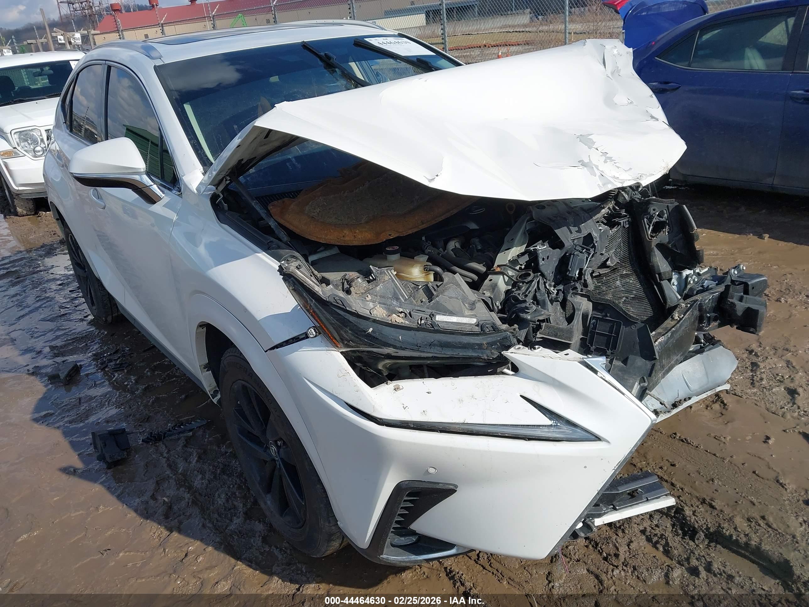 LEXUS NX image 6