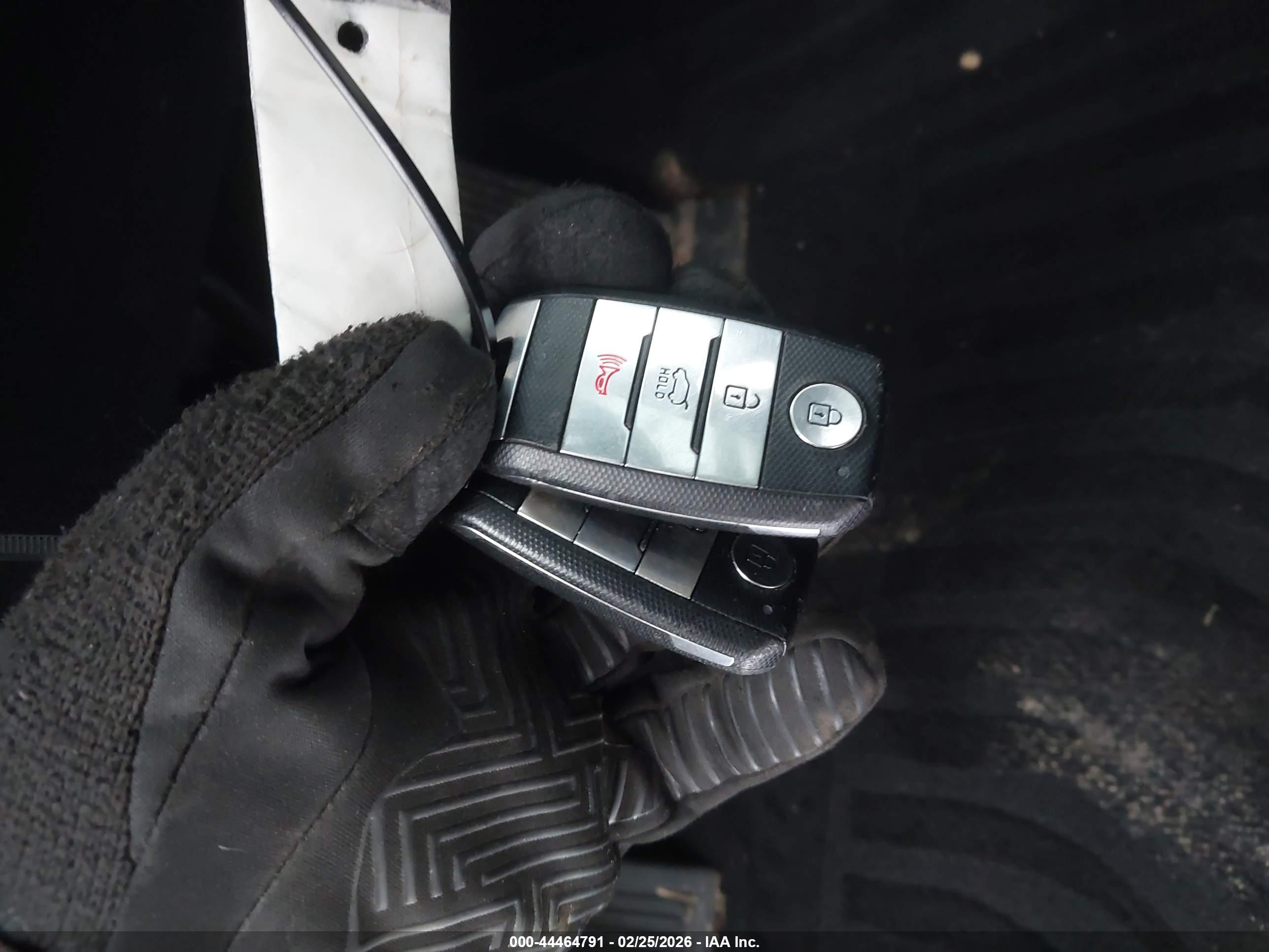 KIA SPORTAGE image 11