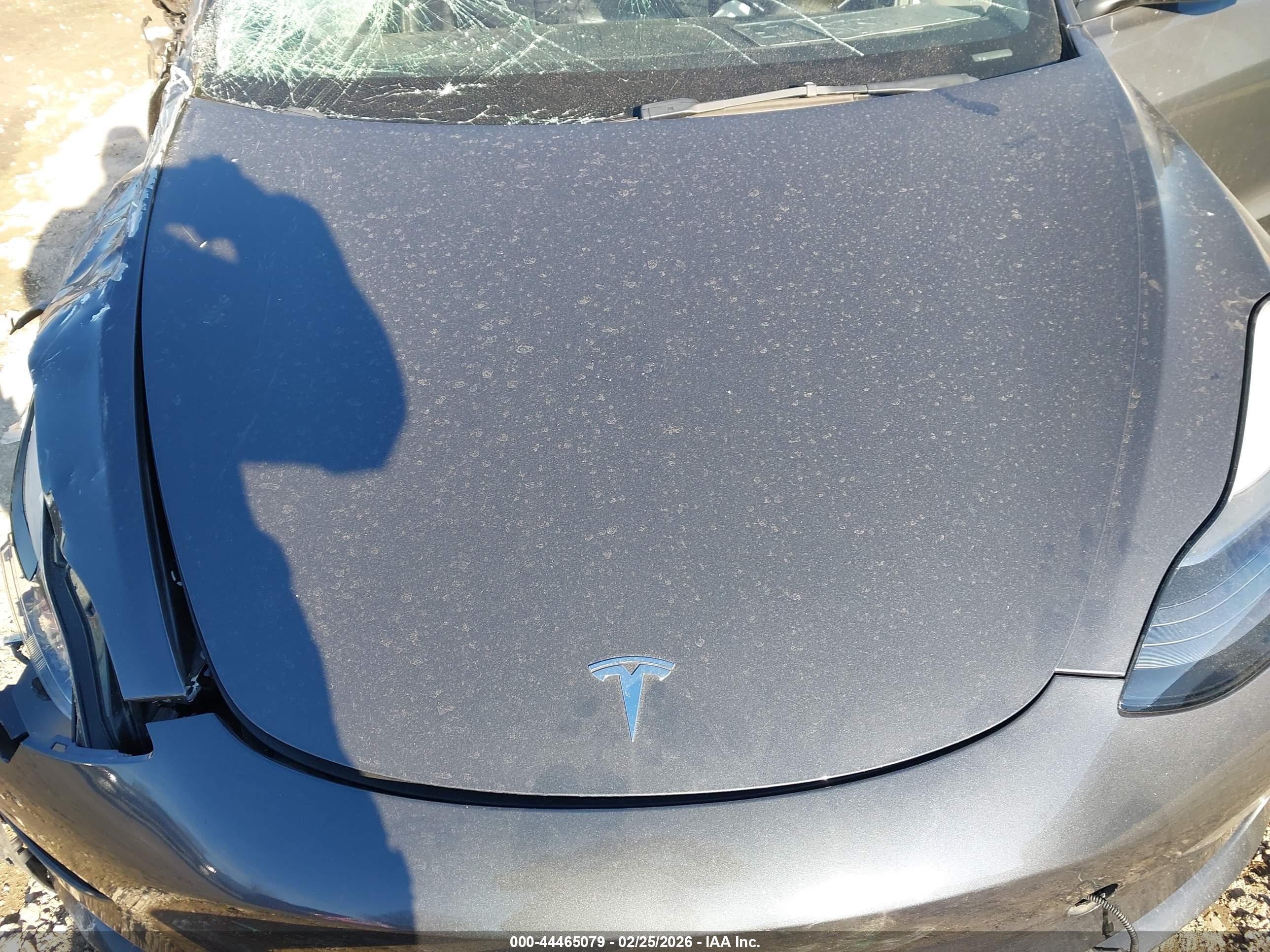 TESLA MODEL image 10