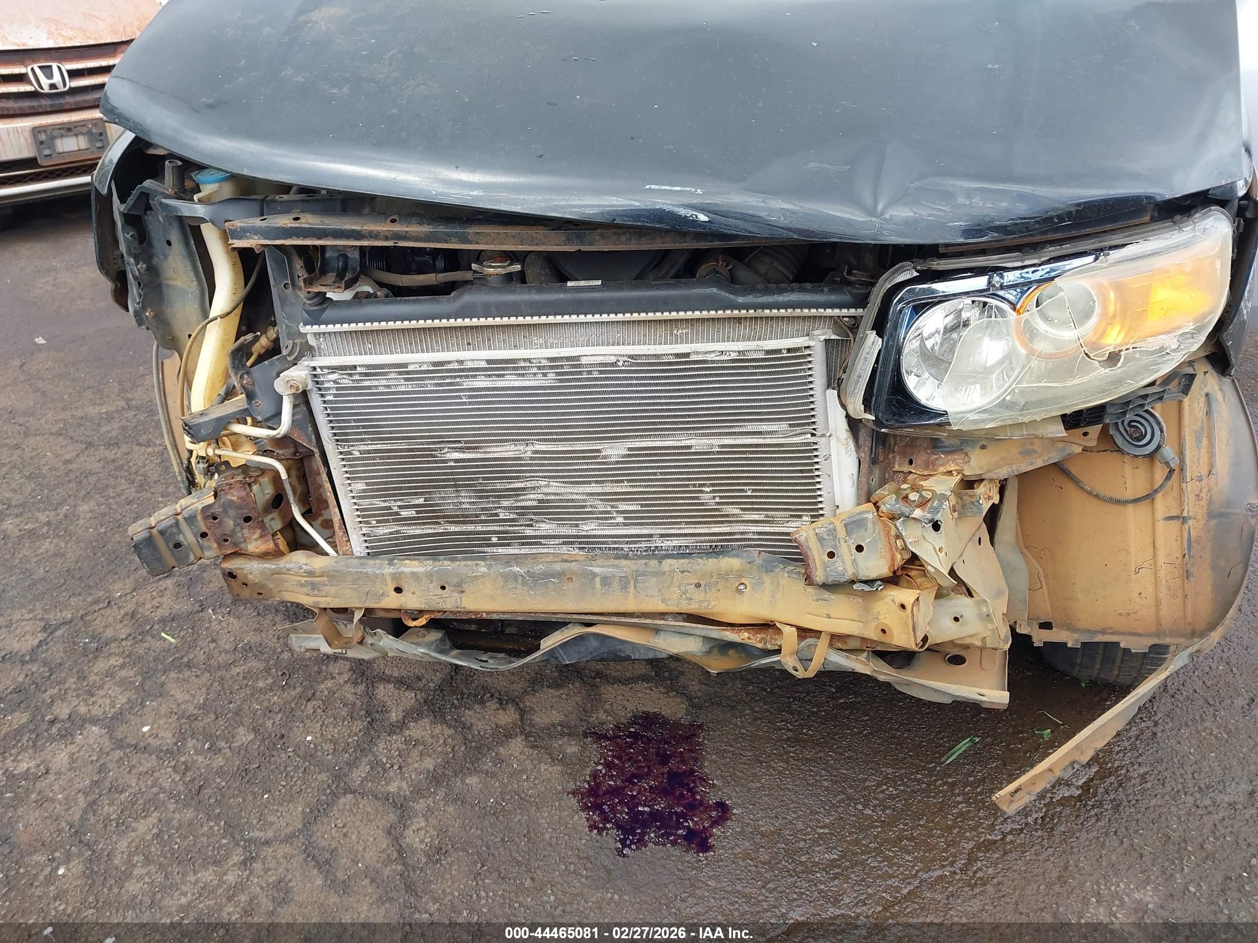 HONDA ELEMENT image 6