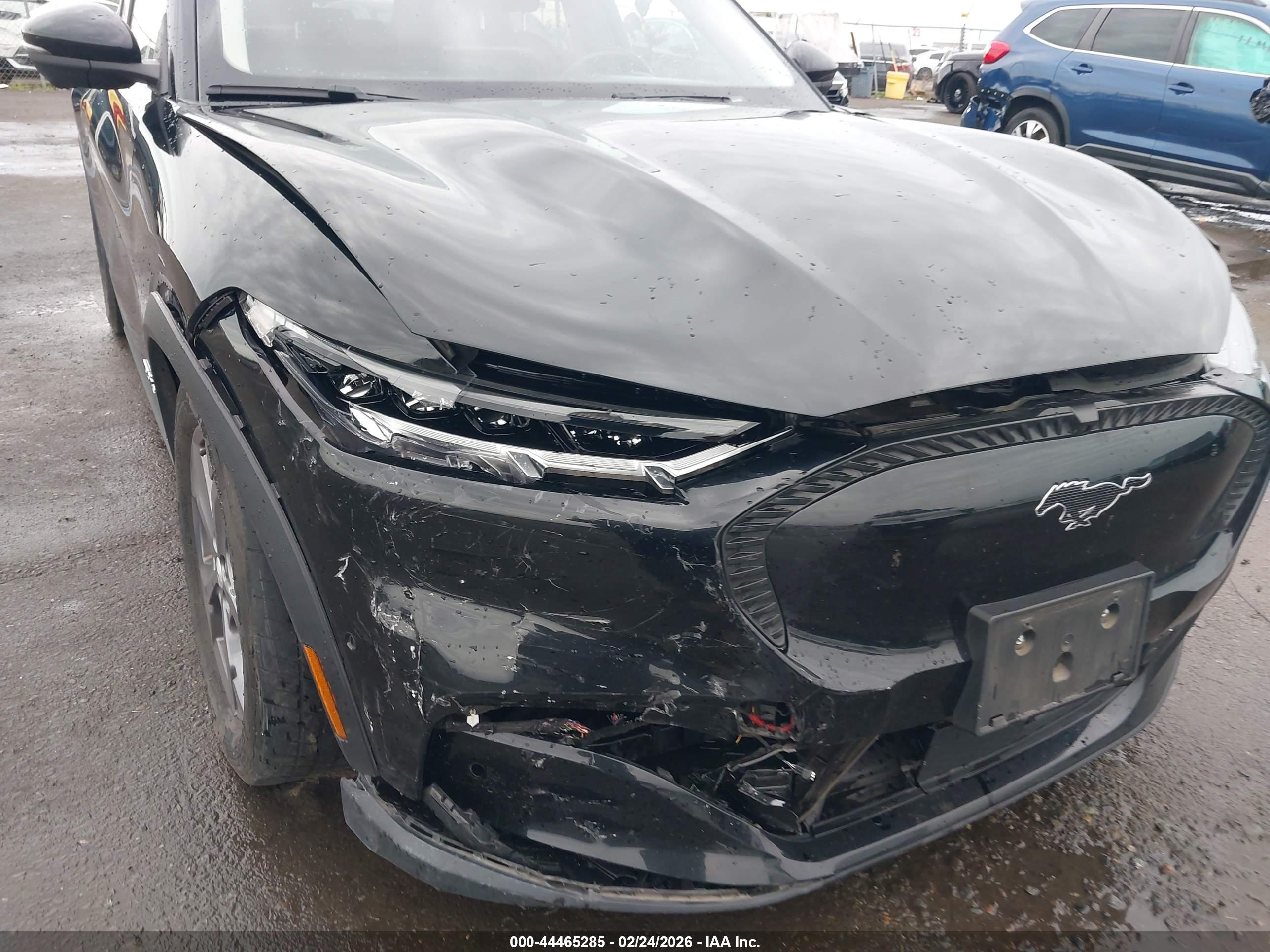 FORD MUSTANG image 6