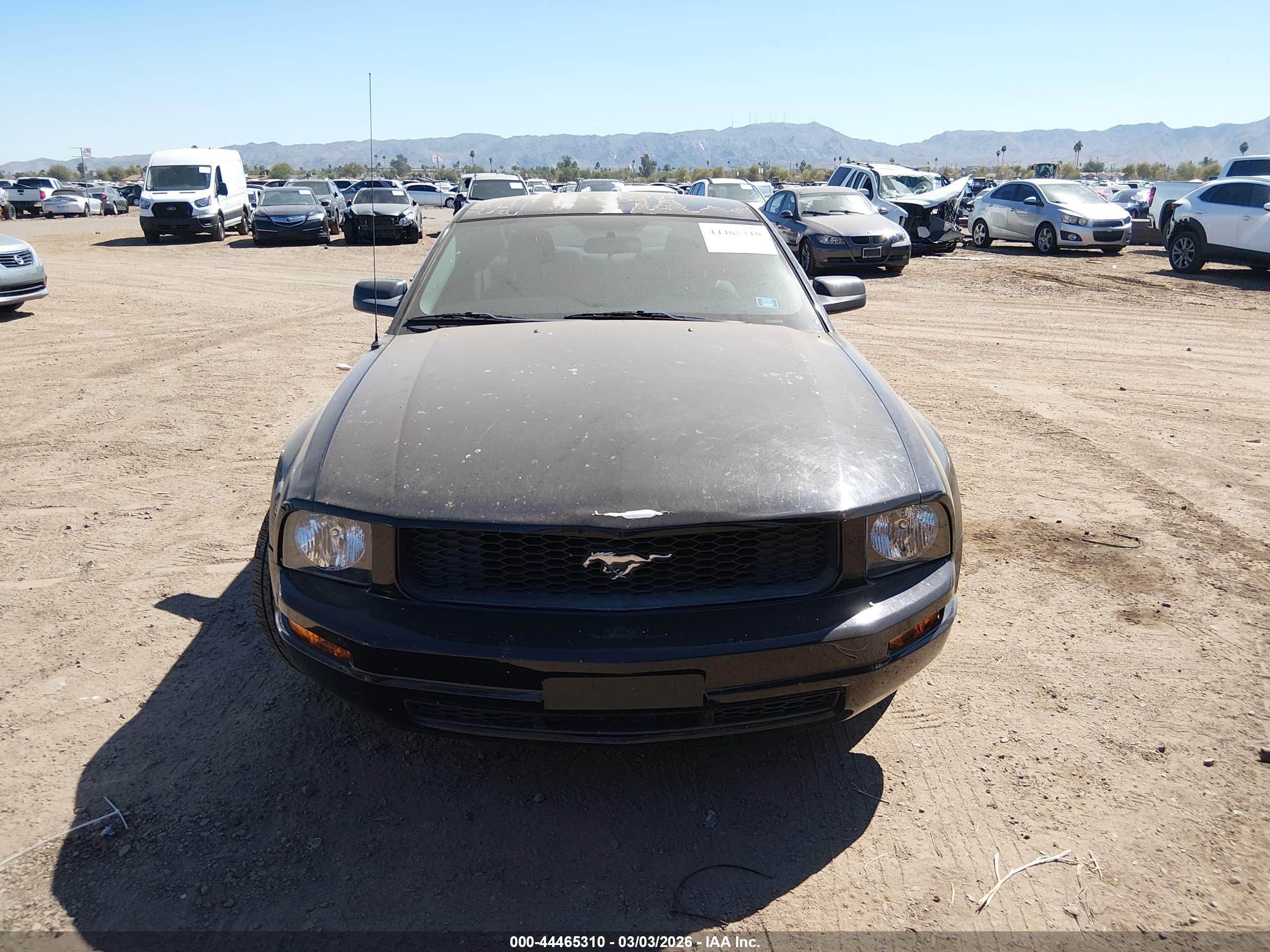 FORD MUSTANG image 6