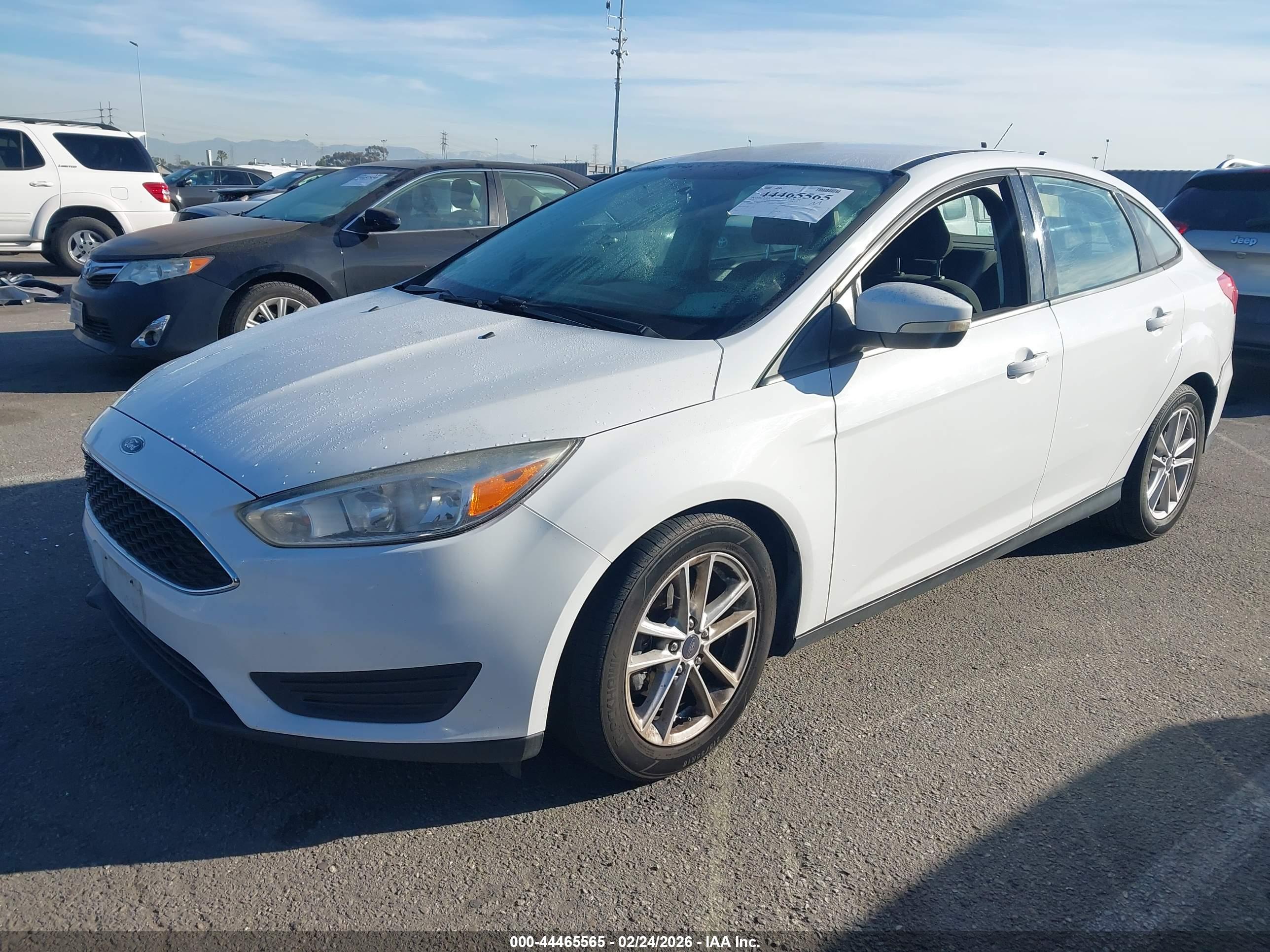 FORD FOCUS image 2