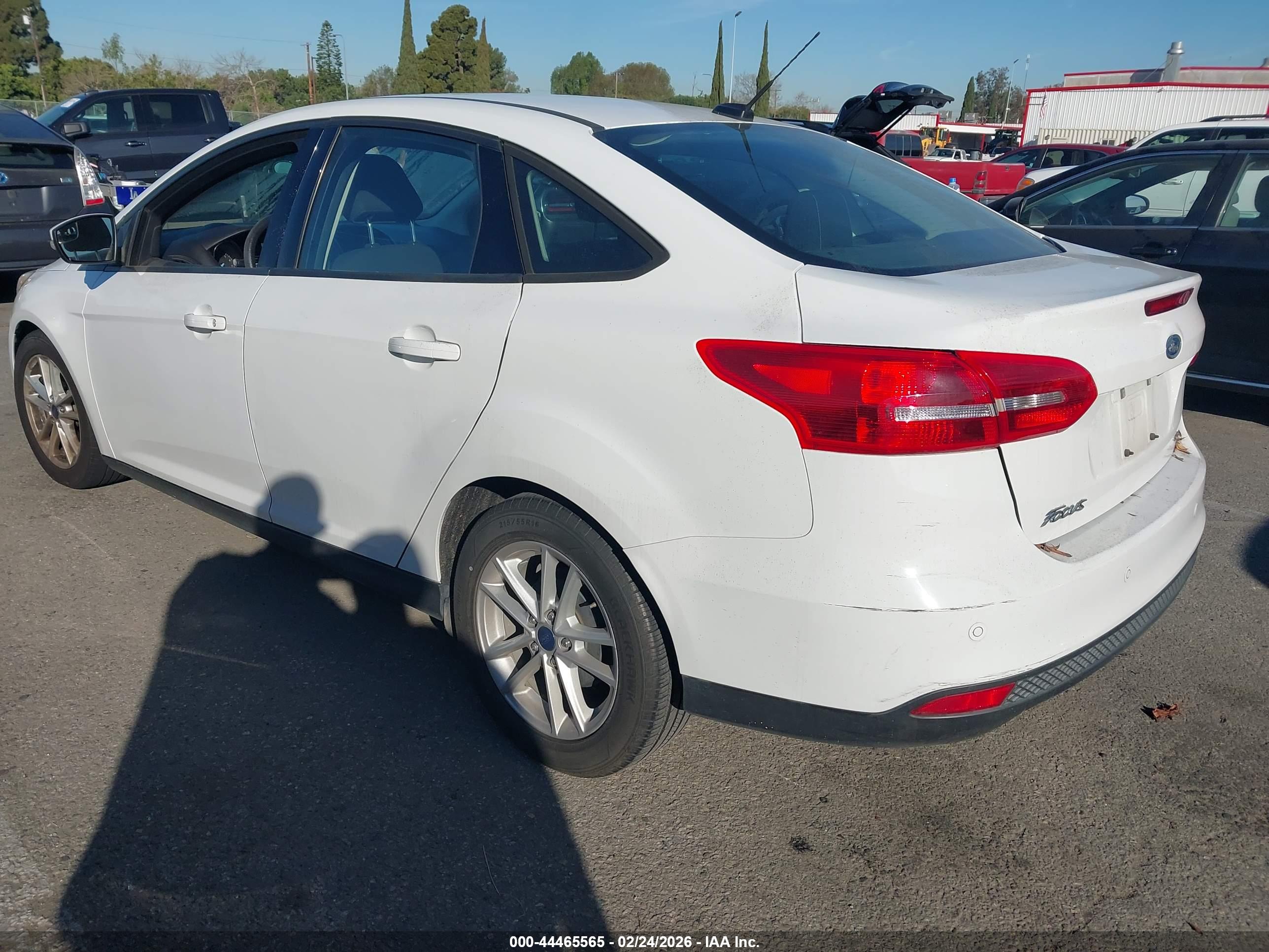 FORD FOCUS image 3