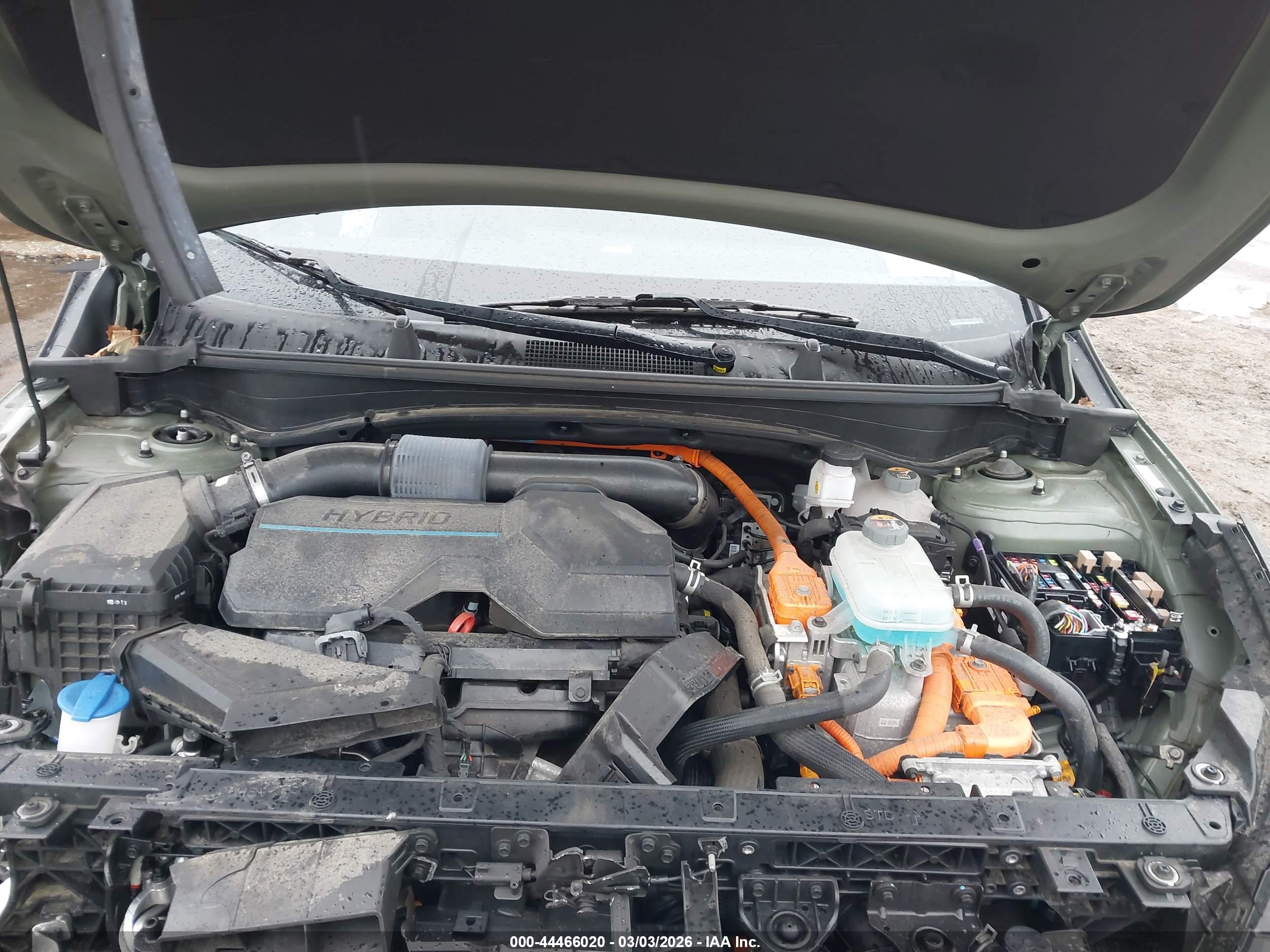 KIA SPORTAGE image 10
