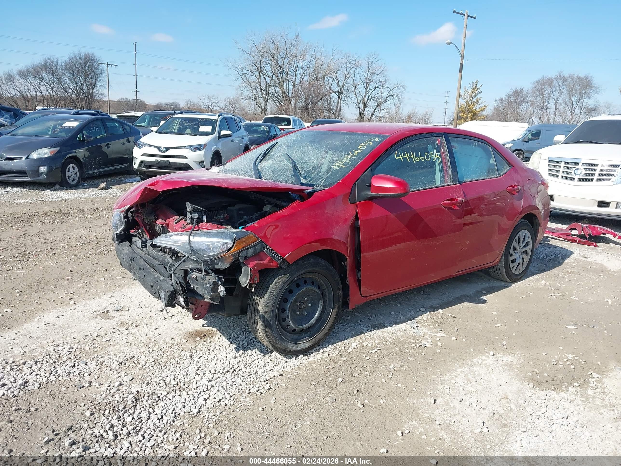 TOYOTA COROLLA image 2