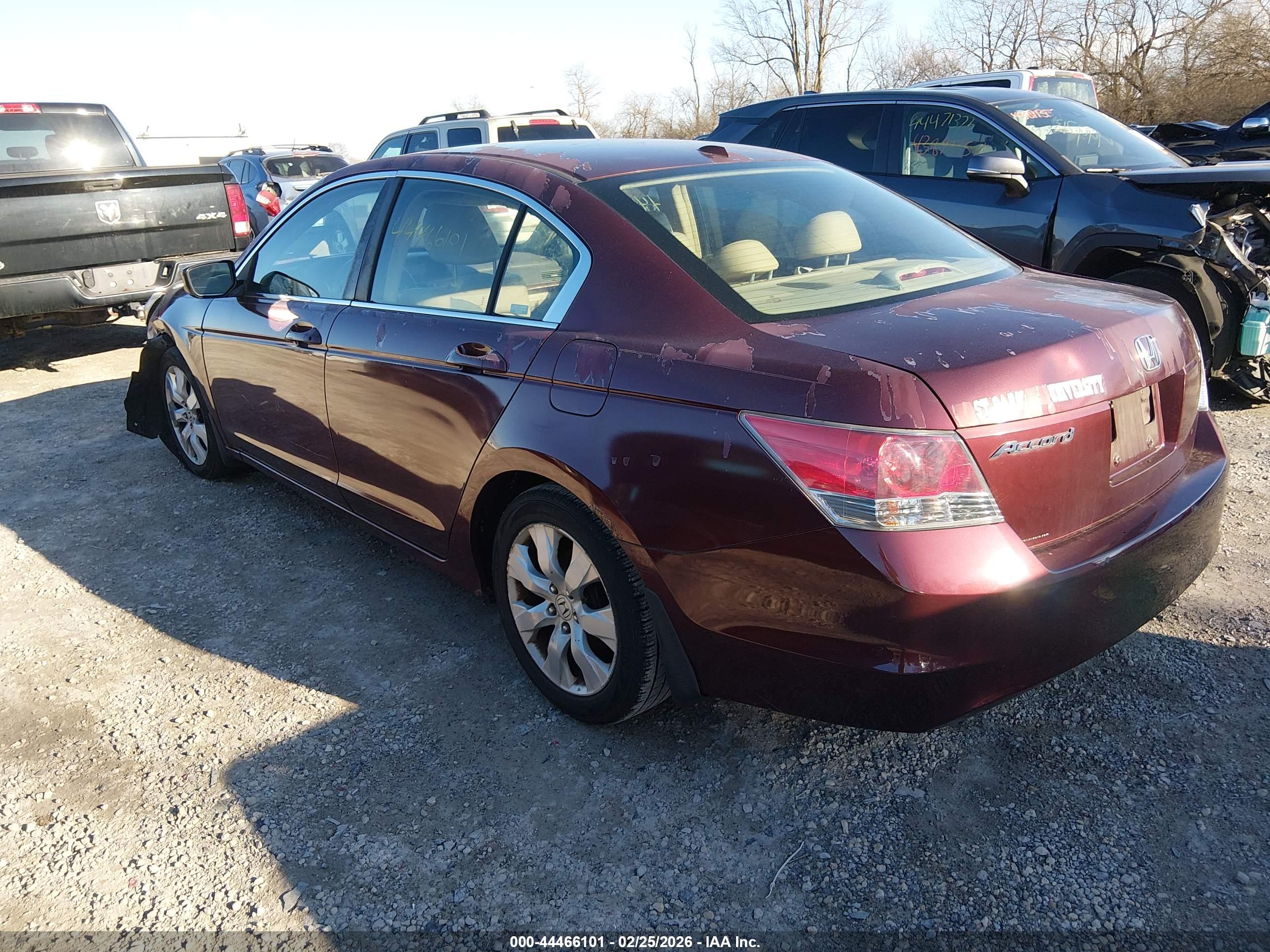 HONDA ACCORD image 3
