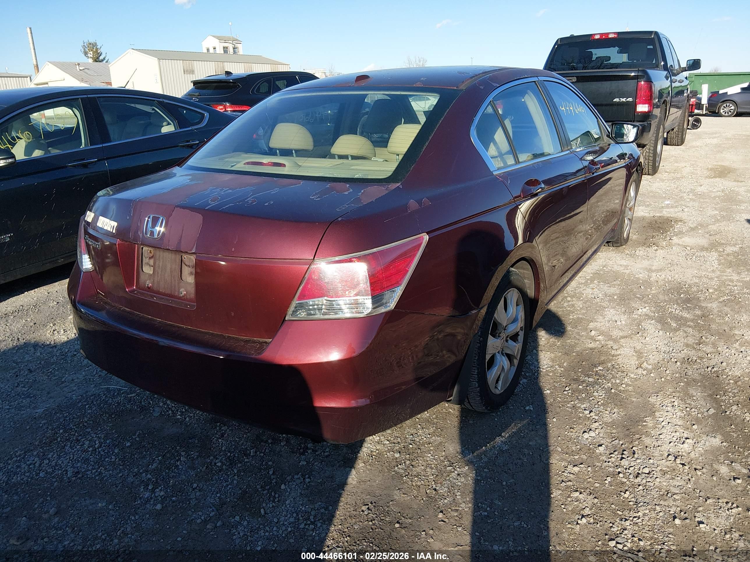 HONDA ACCORD image 4
