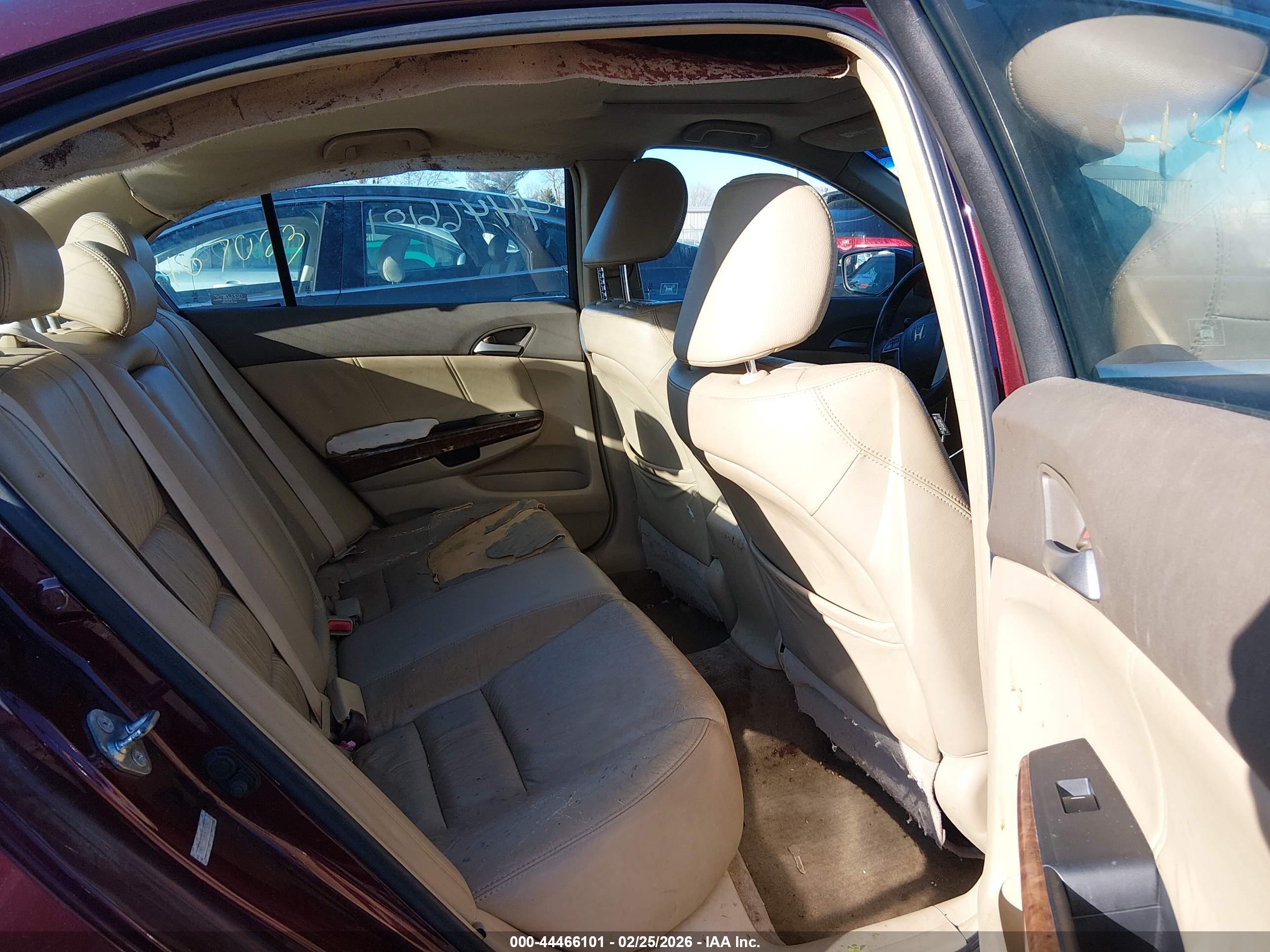 HONDA ACCORD image 8