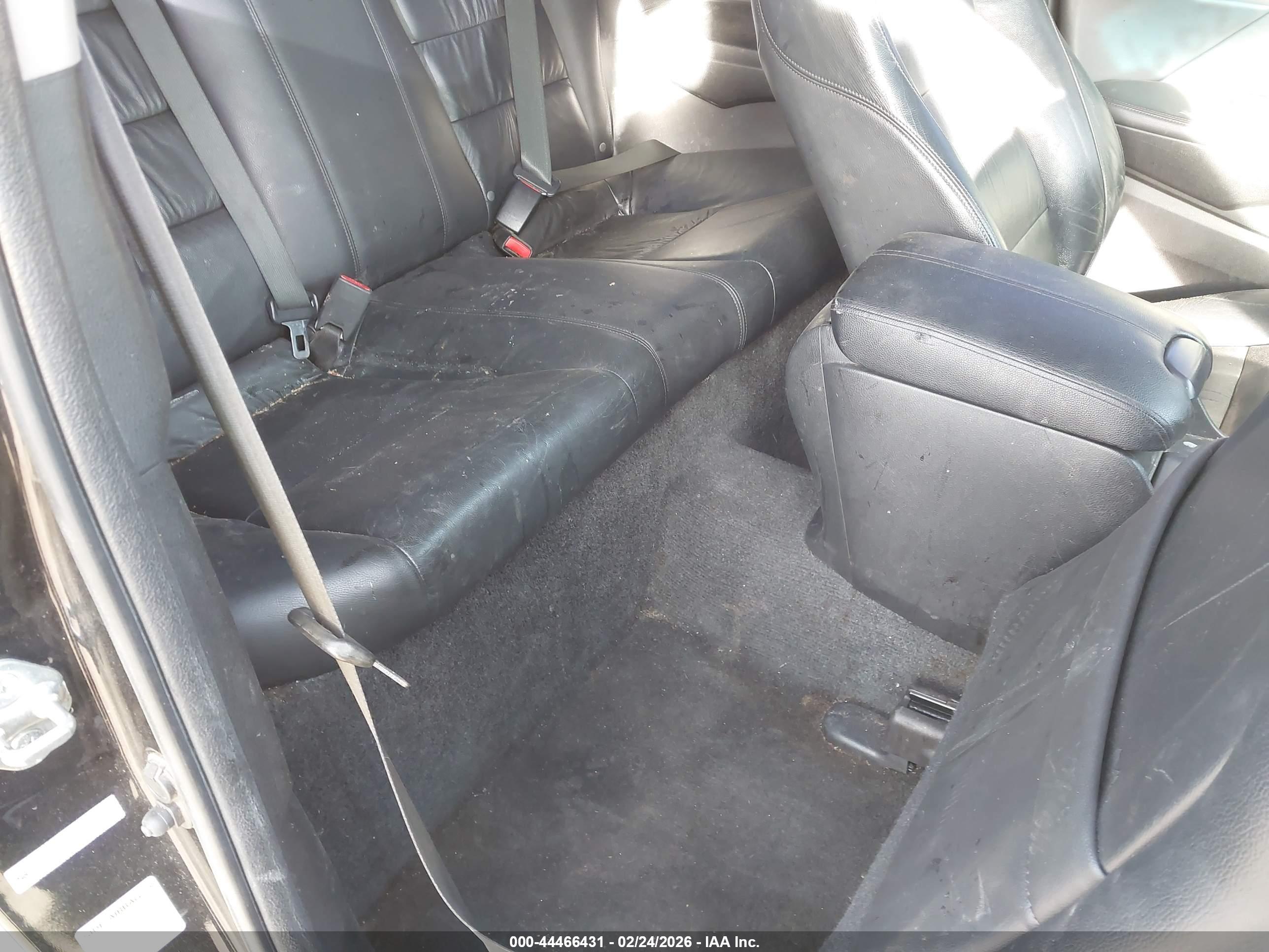 HONDA ACCORD image 8