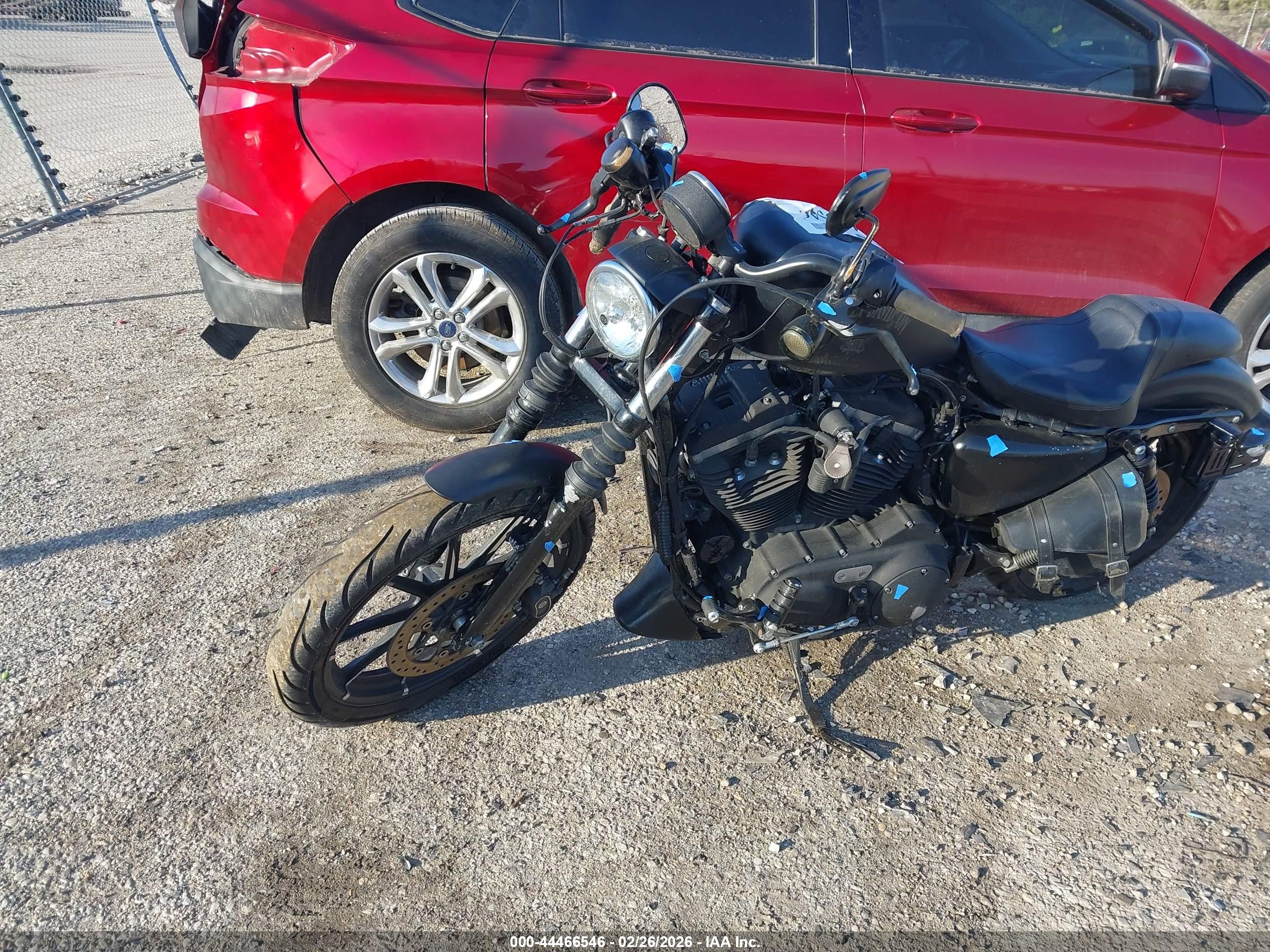 HARLEY-DAVIDSON XL883 image 2