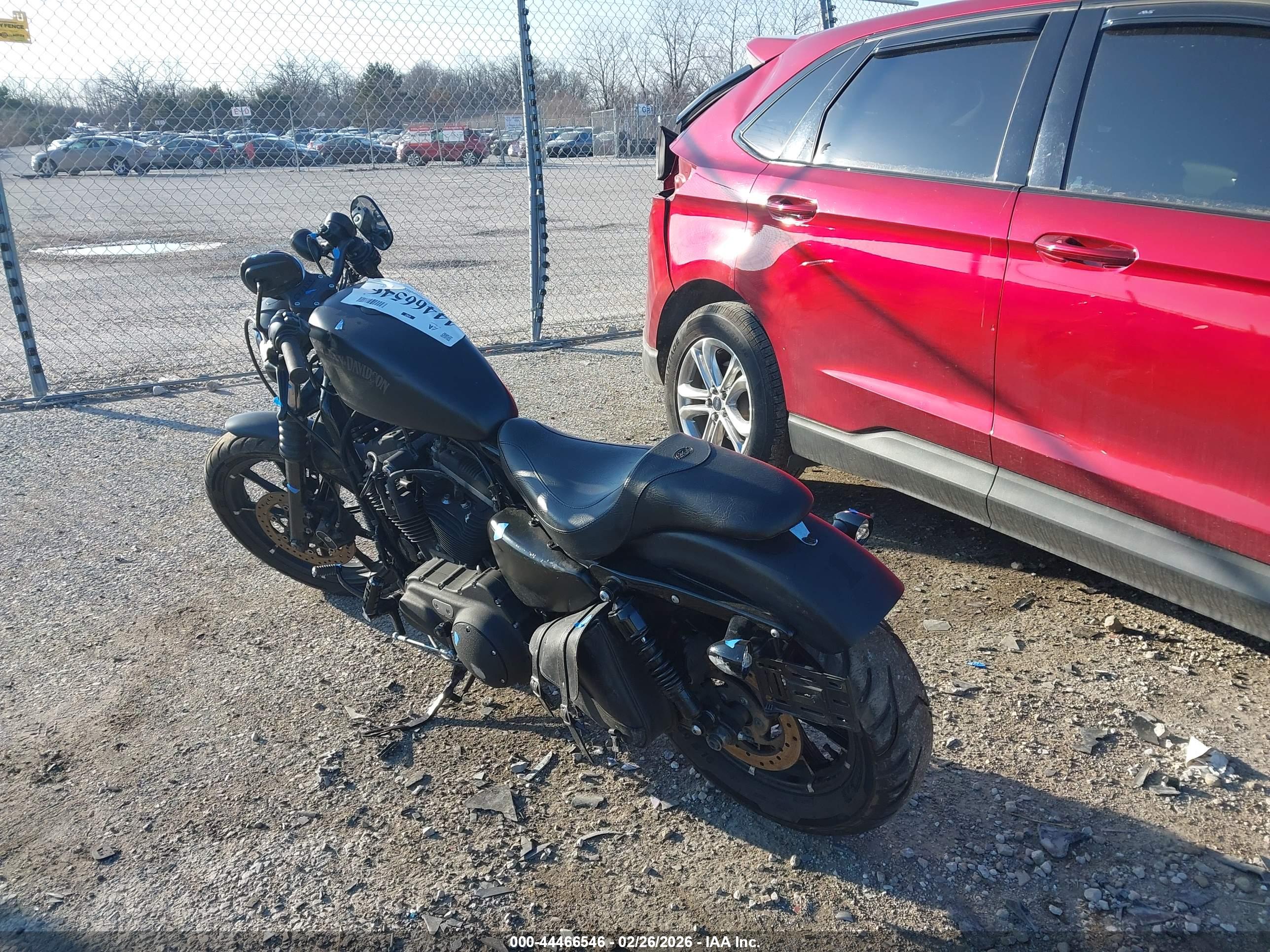 HARLEY-DAVIDSON XL883 image 3