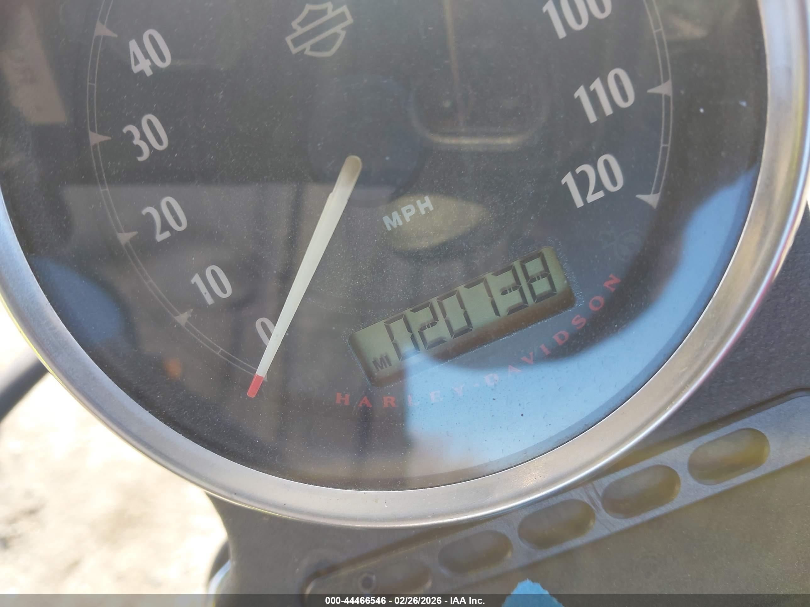 HARLEY-DAVIDSON XL883 image 7