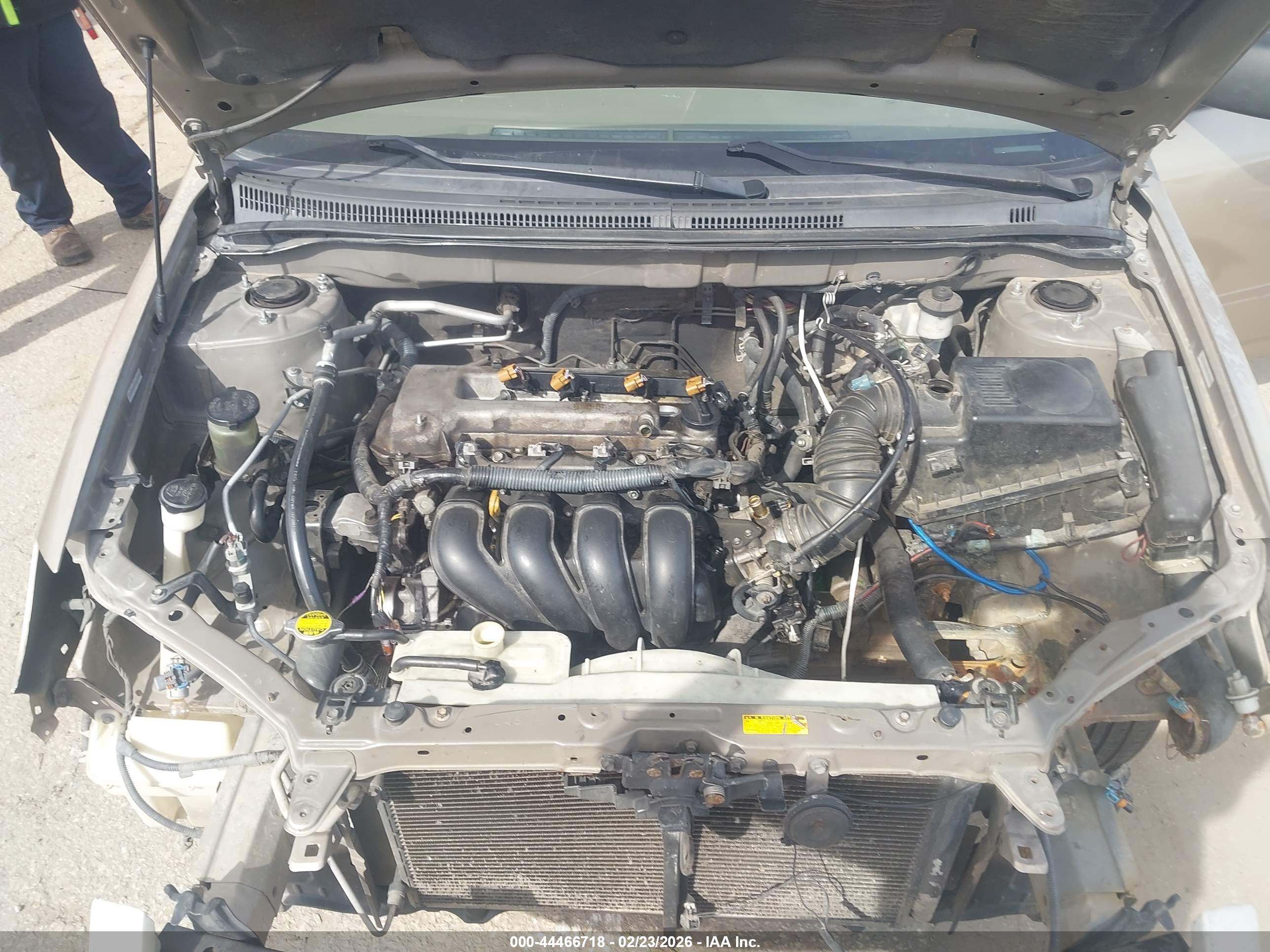 TOYOTA COROLLA image 10
