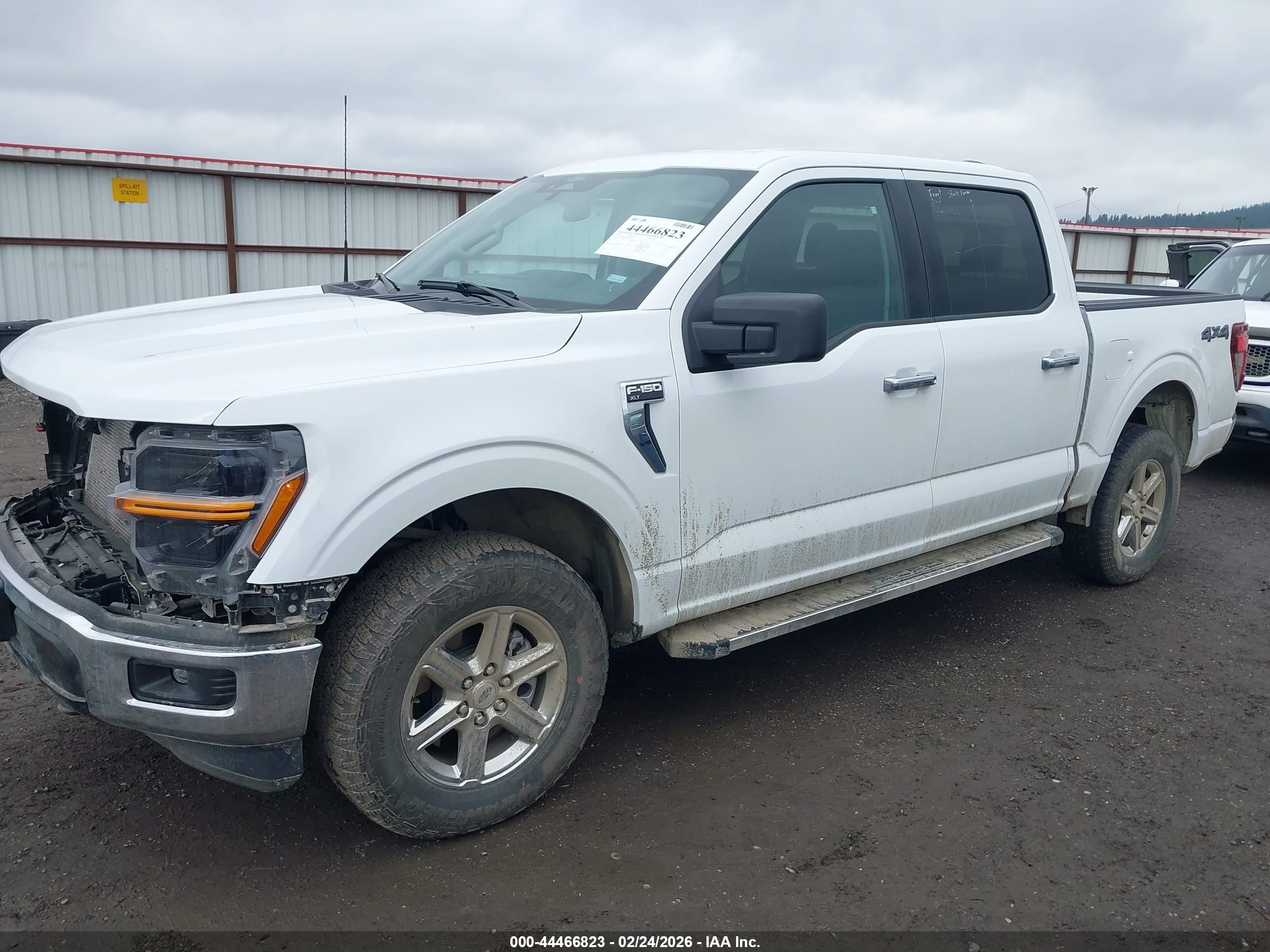 FORD F-150 image 2