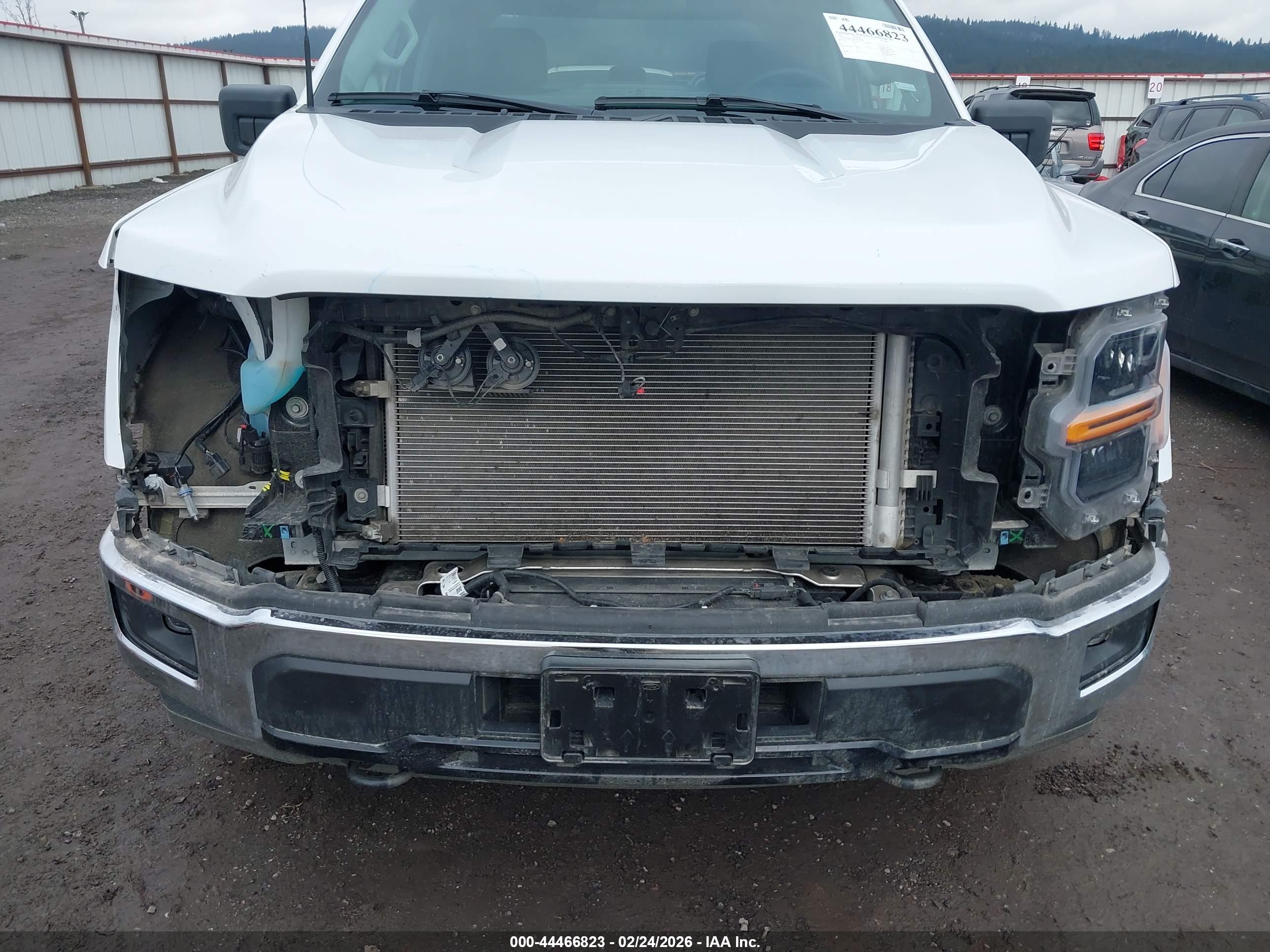 FORD F-150 image 6
