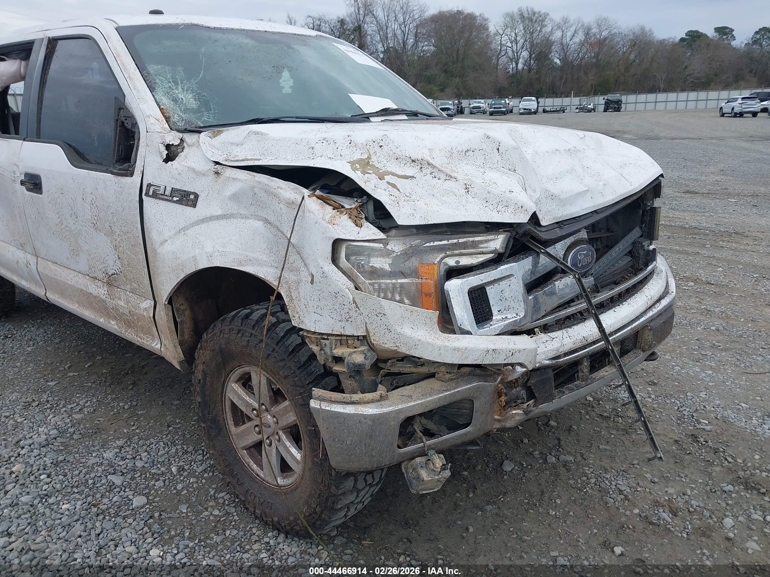 FORD F-150 image 6