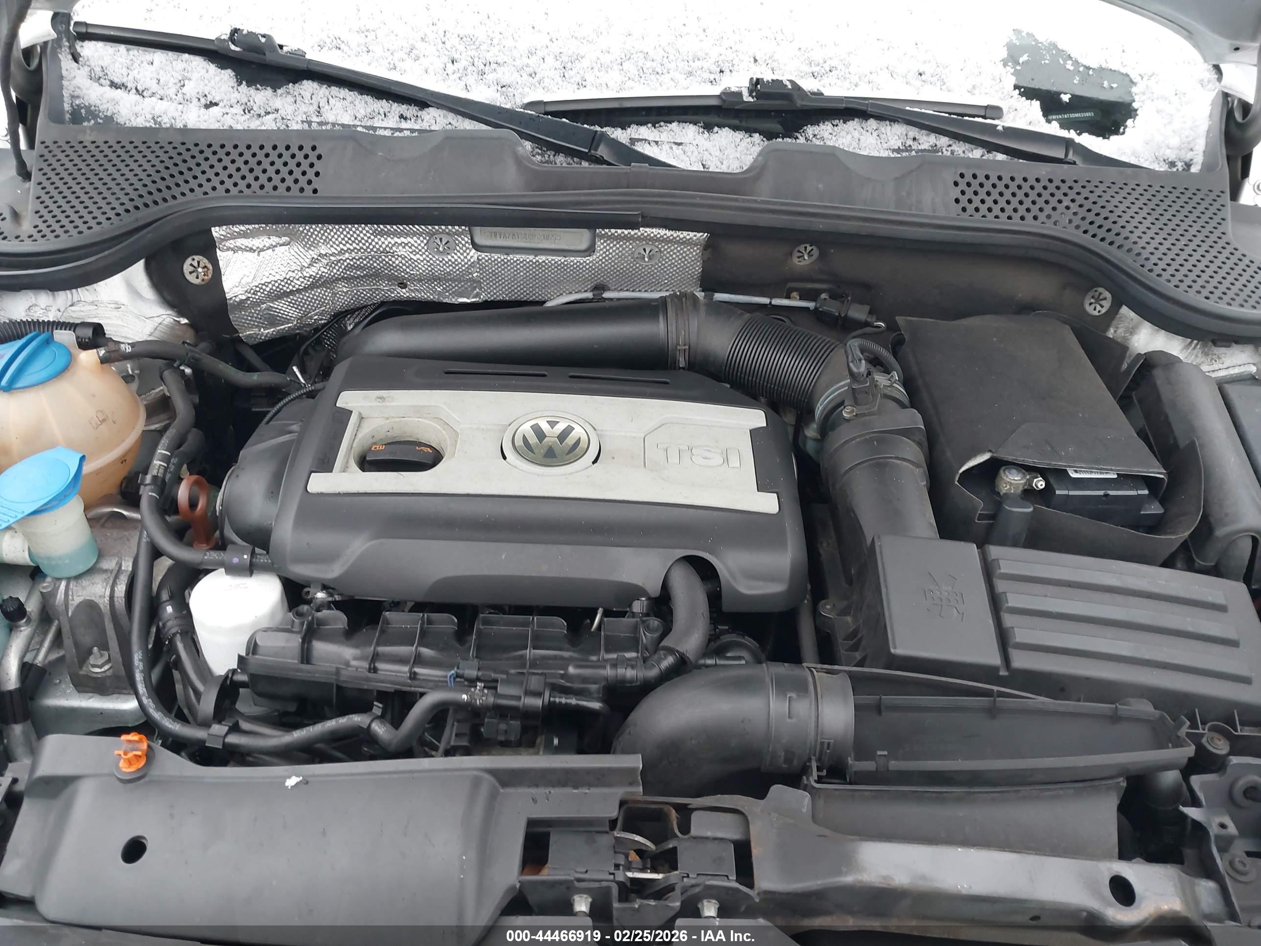VOLKSWAGEN BEETLE image 10