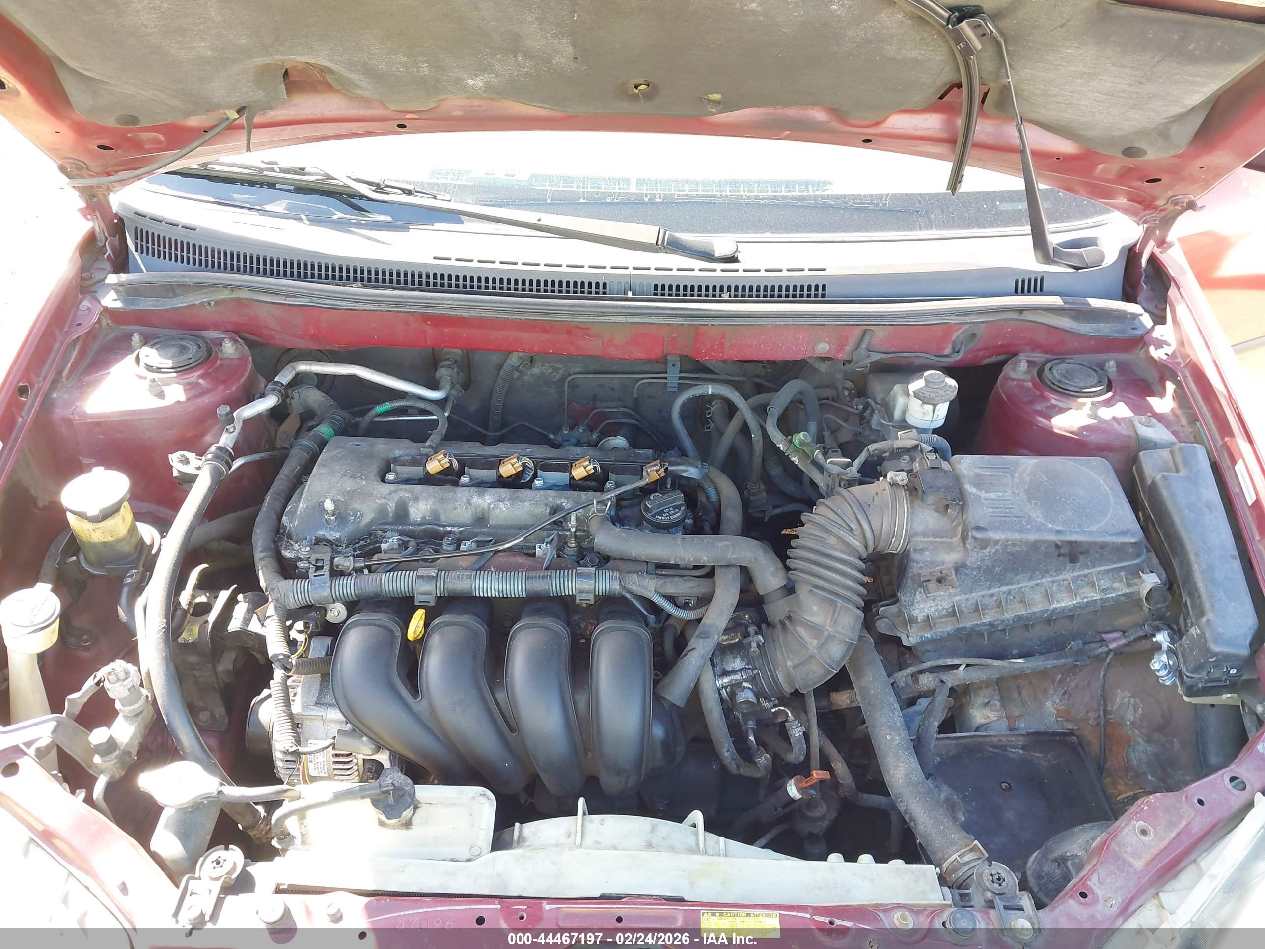 TOYOTA COROLLA image 10
