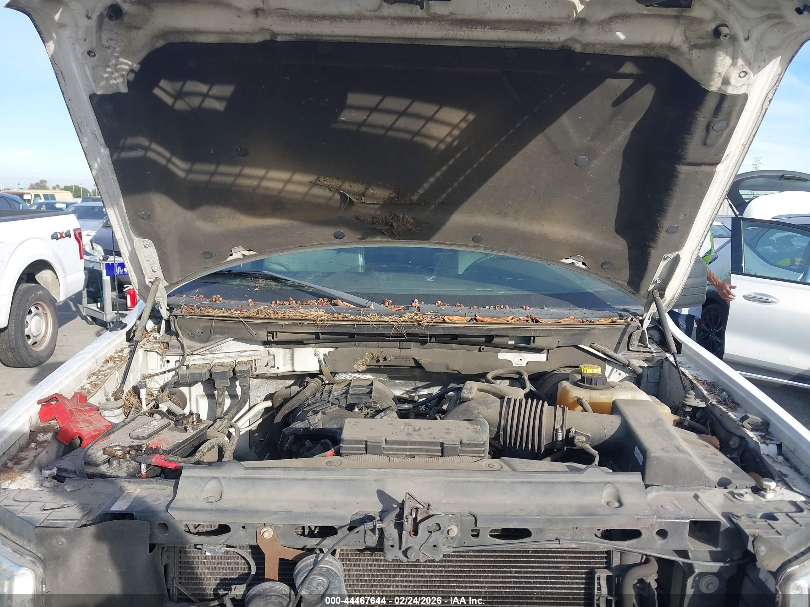 FORD F-150 image 10