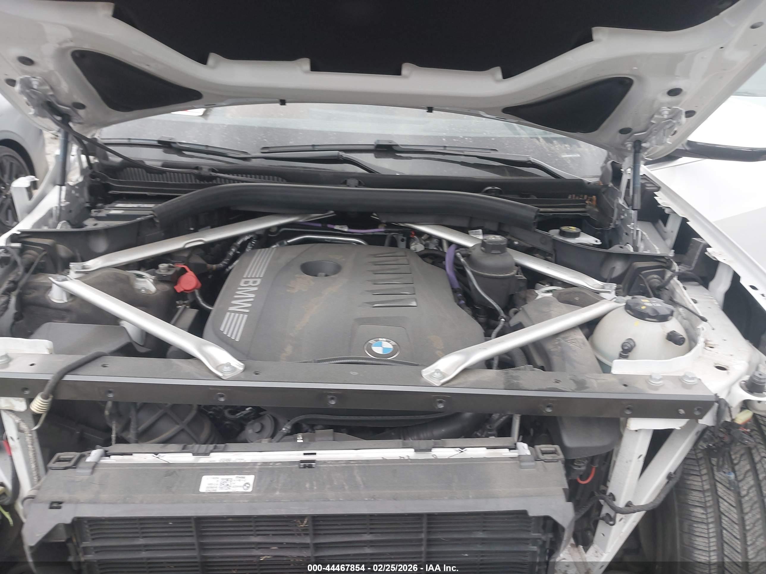 BMW X7 image 10