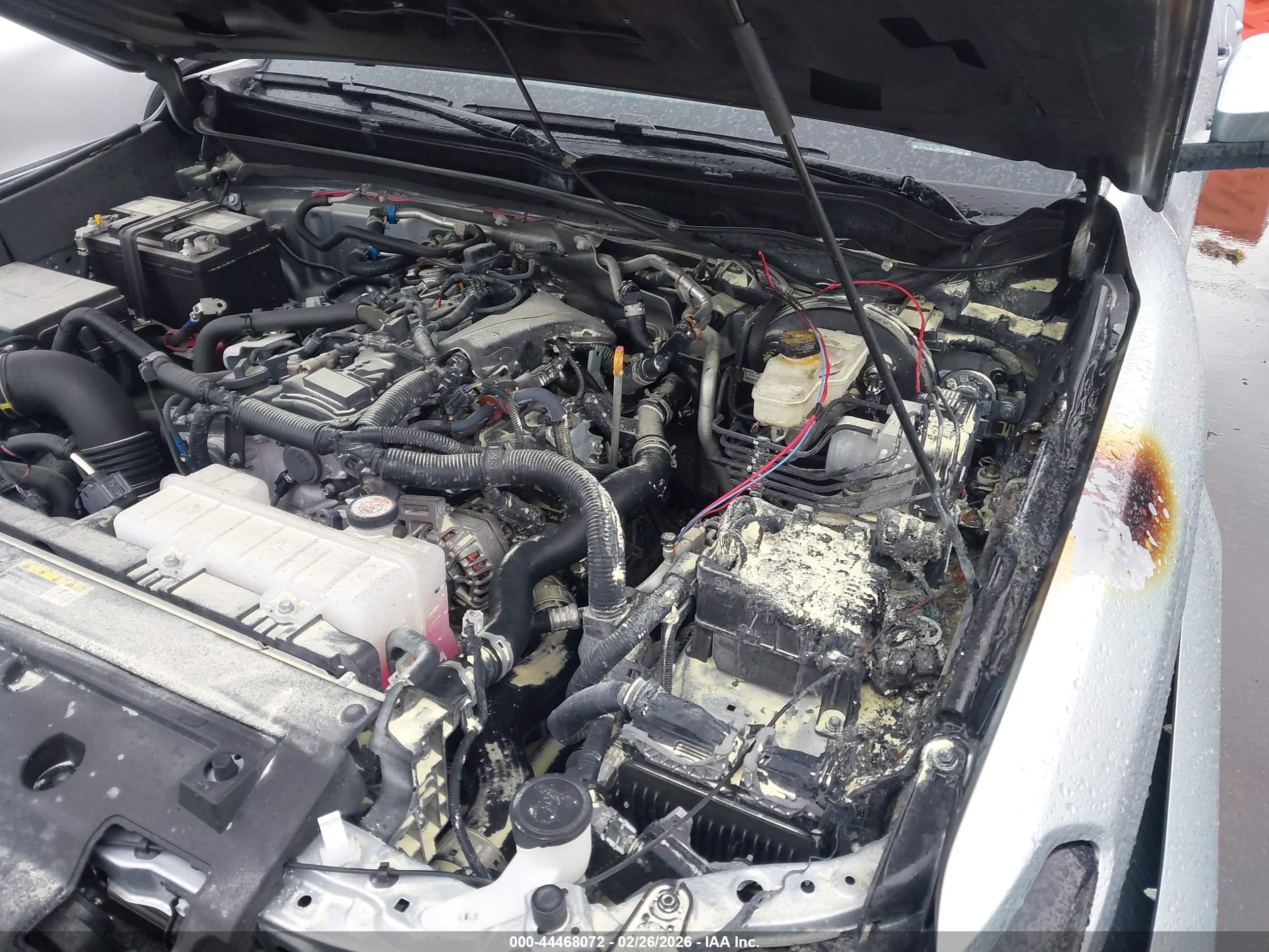 TOYOTA TACOMA image 6