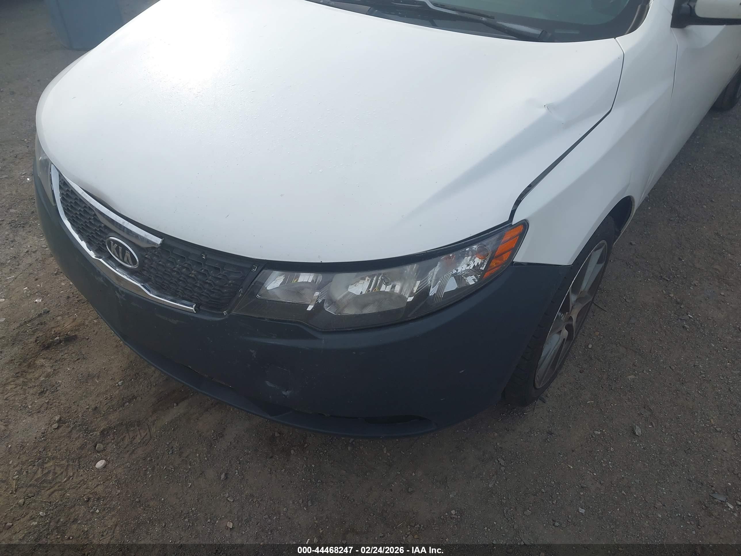 KIA FORTE image 6