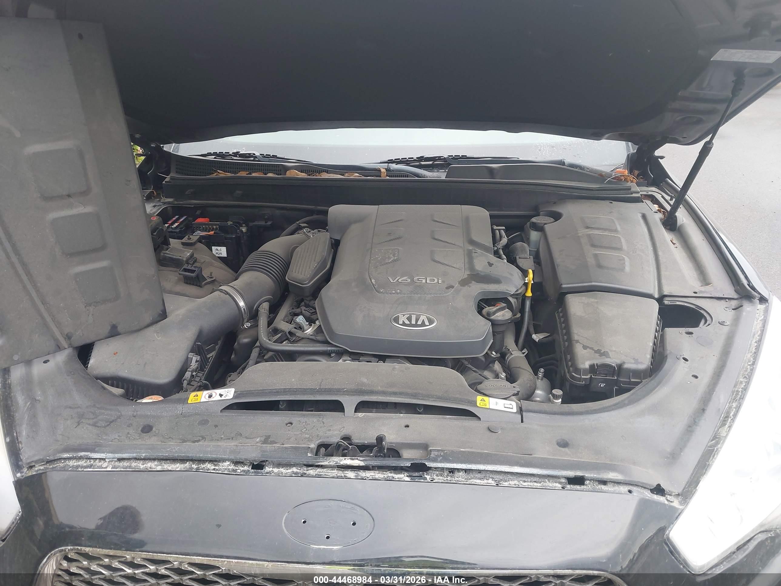 KIA K900 image 10