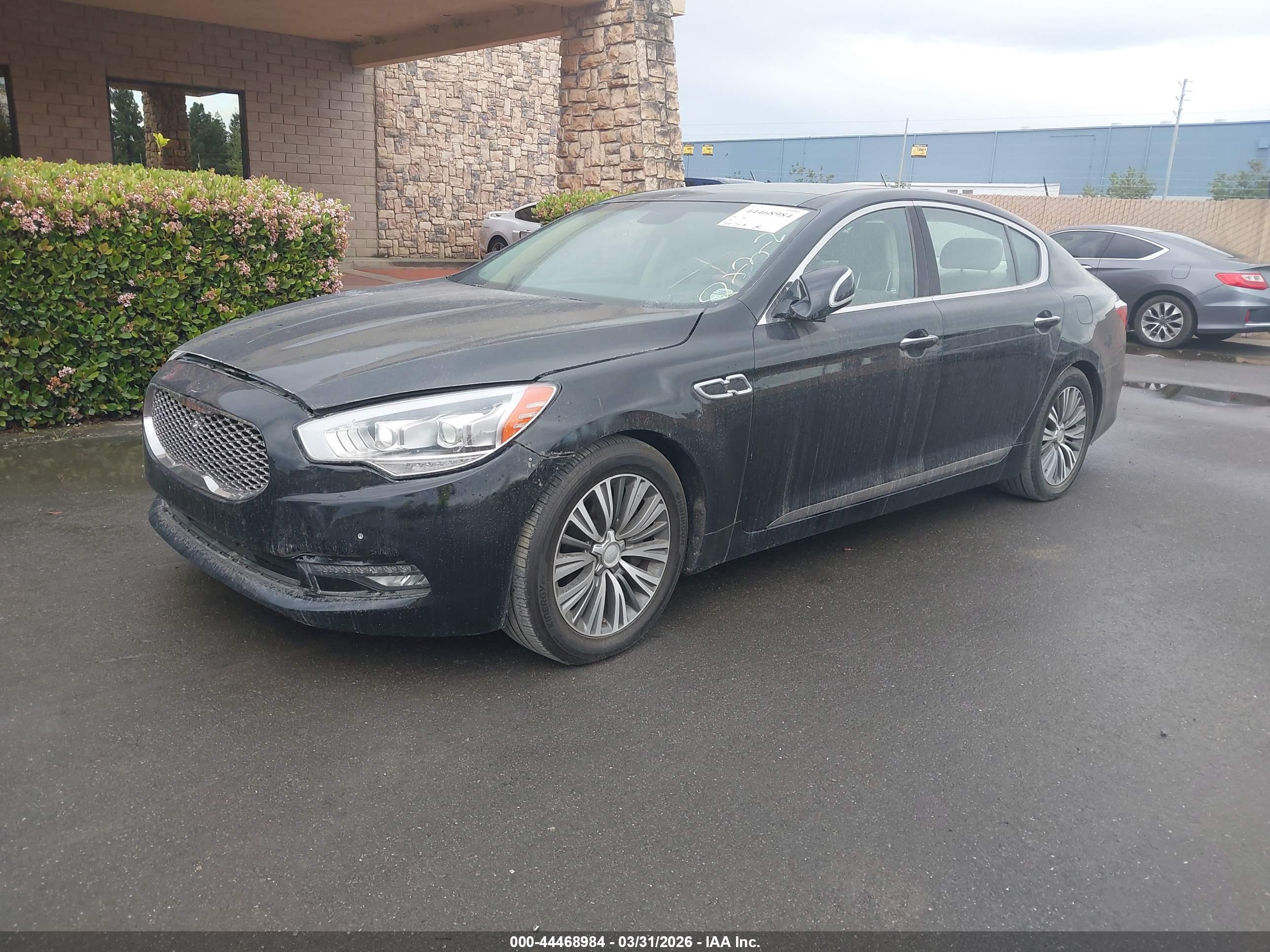 KIA K900 image 2