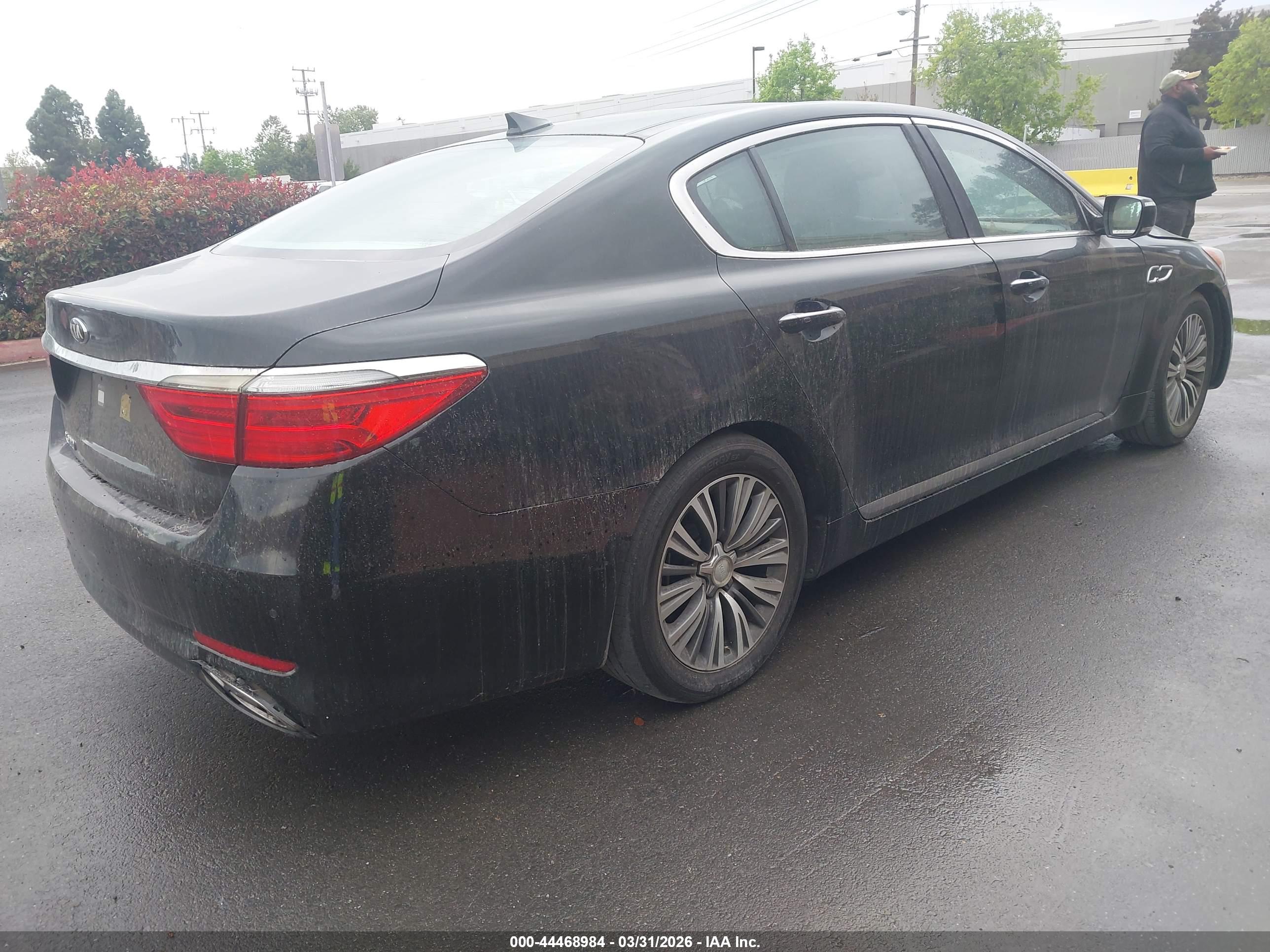 KIA K900 image 4