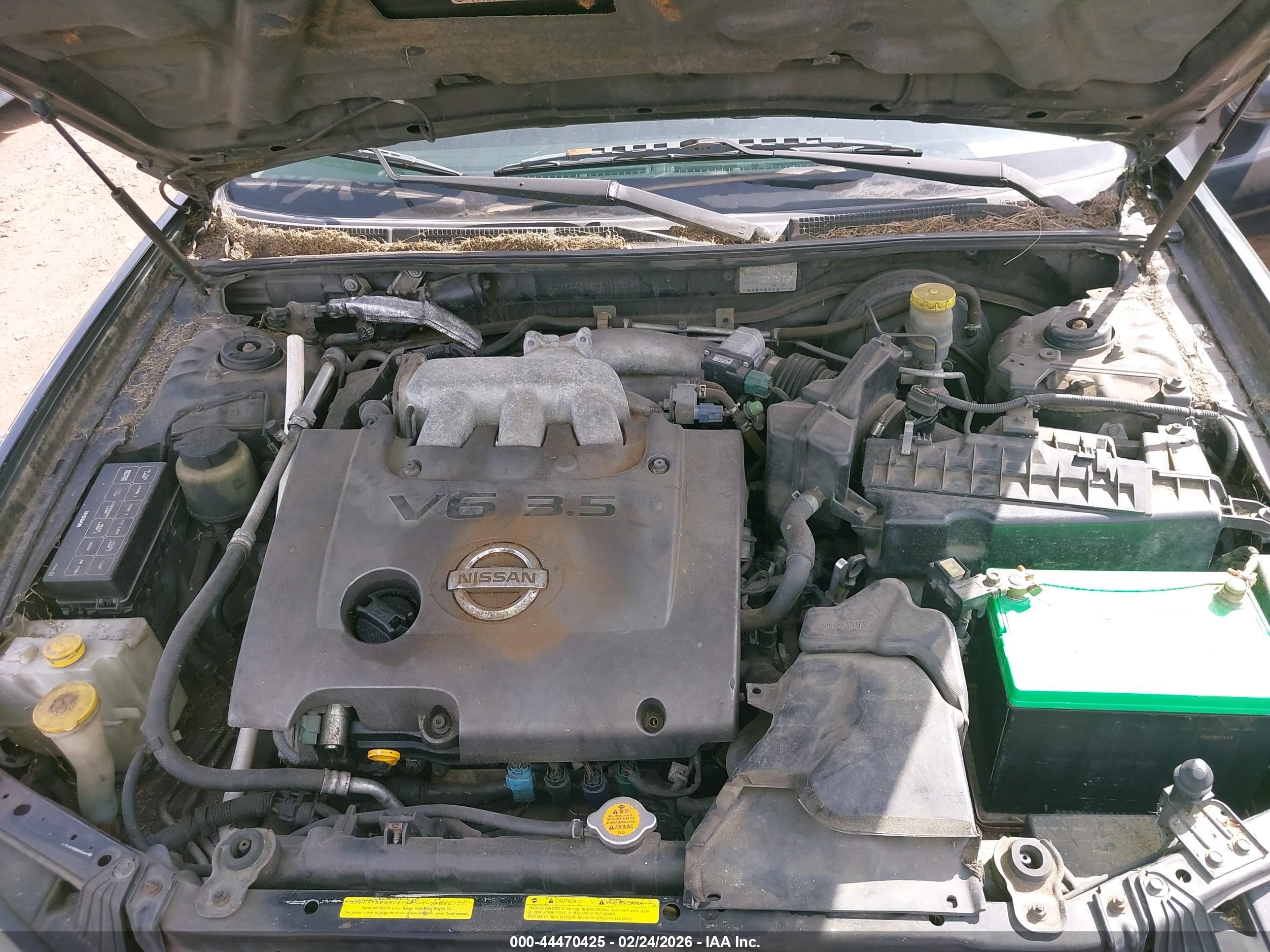 NISSAN MAXIMA image 10