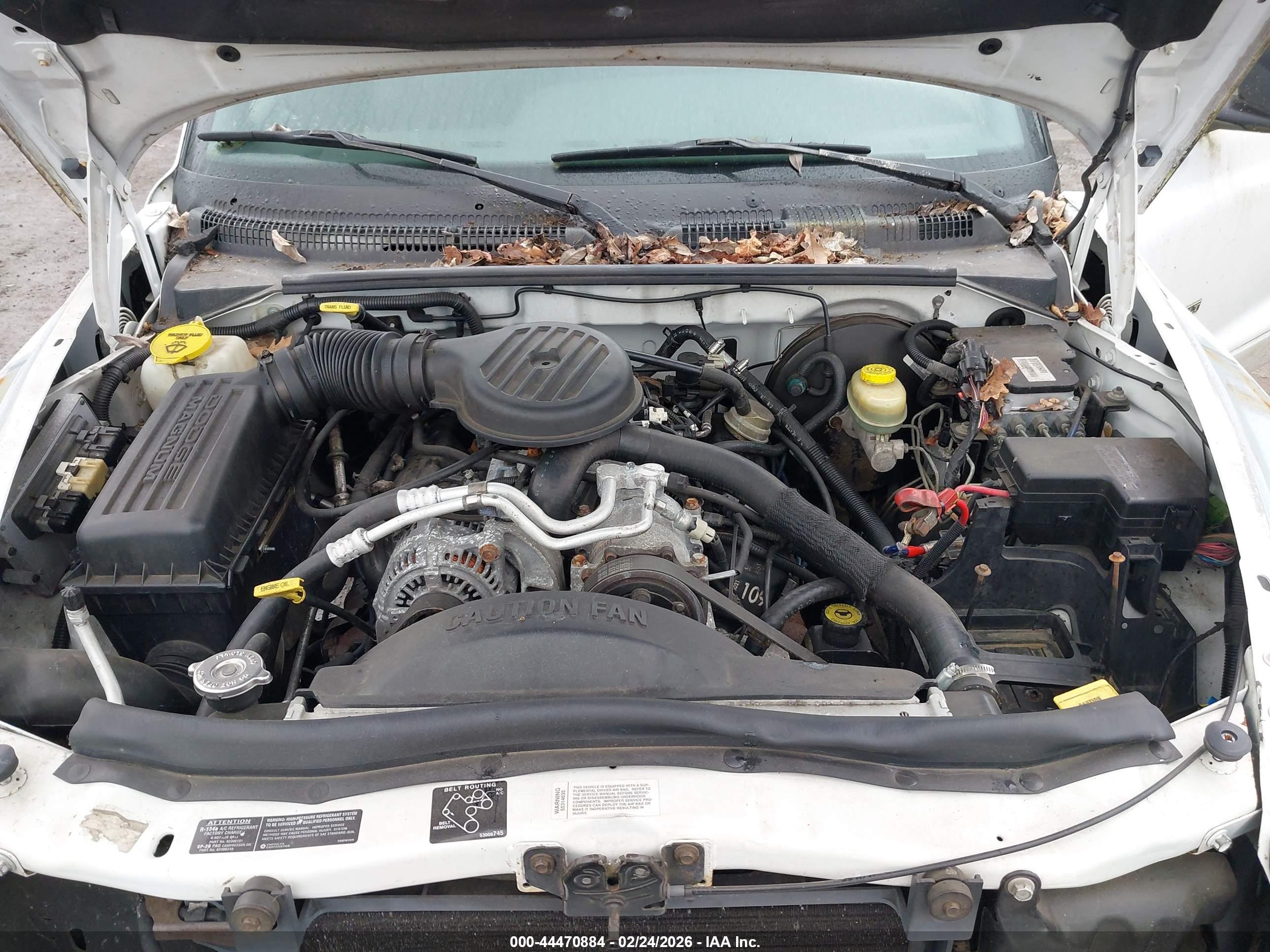 DODGE DAKOTA image 10